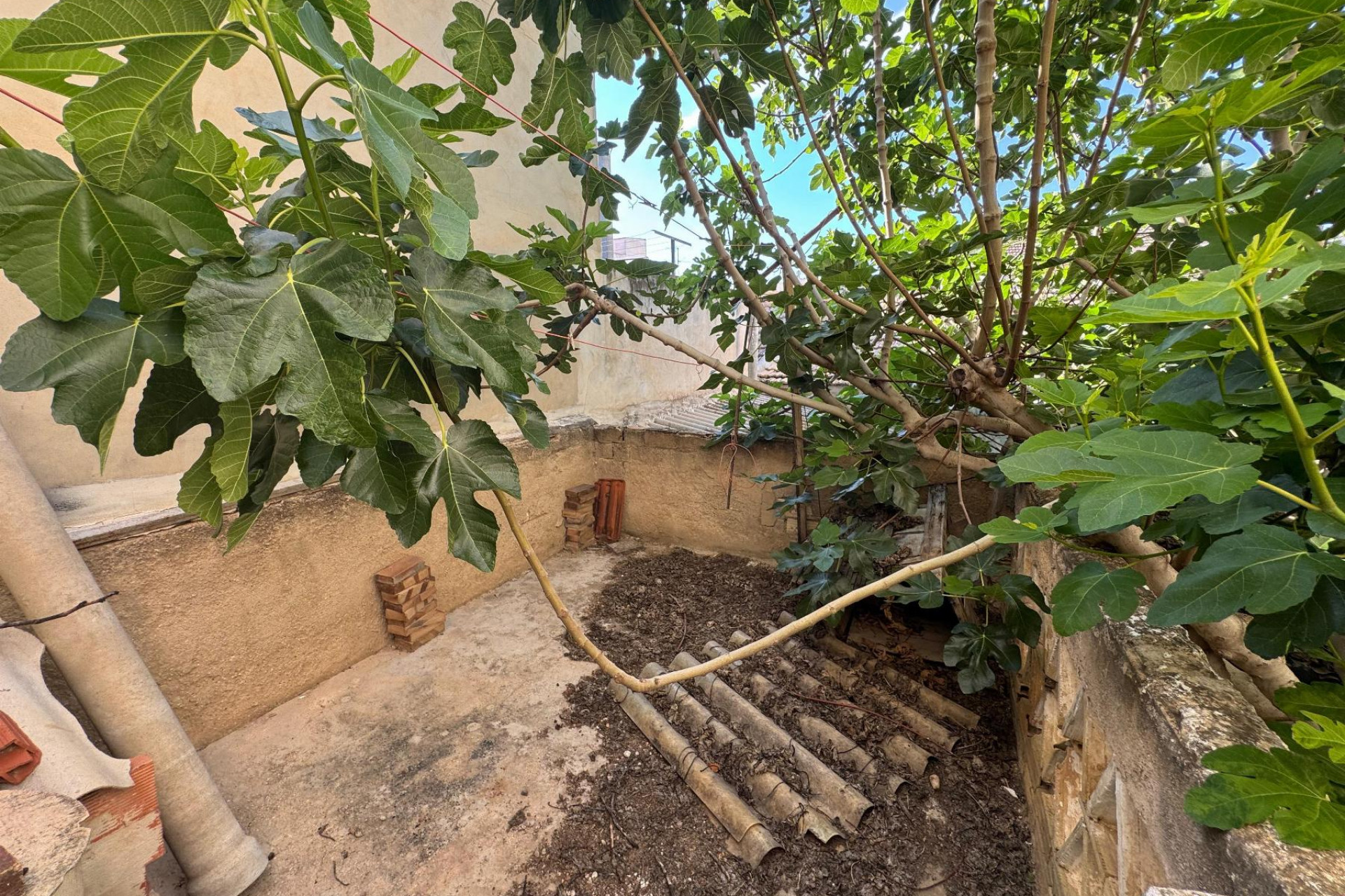 Resale - House - Benejúzar