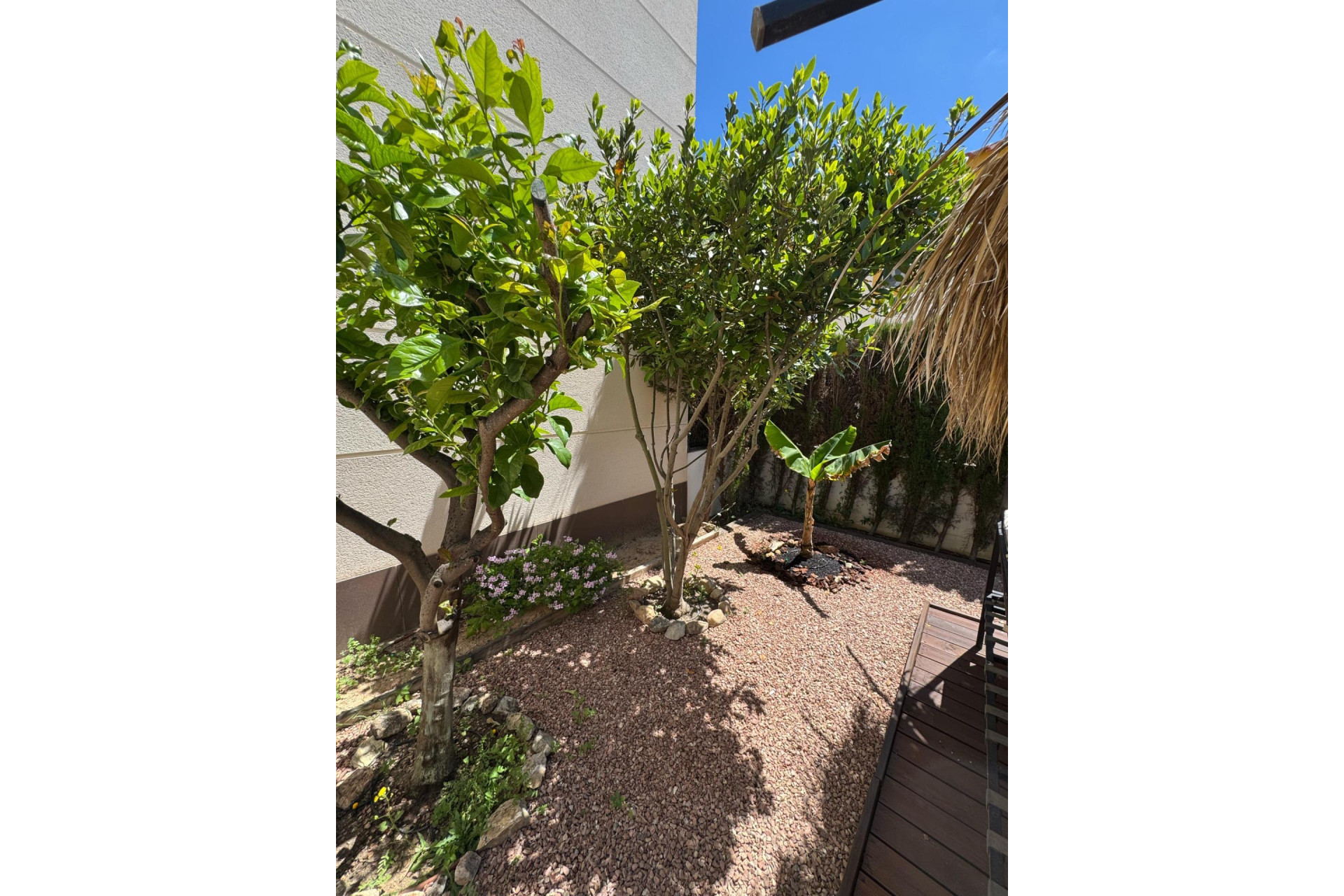 Resale - House - Benijofar - Costa blanca sur