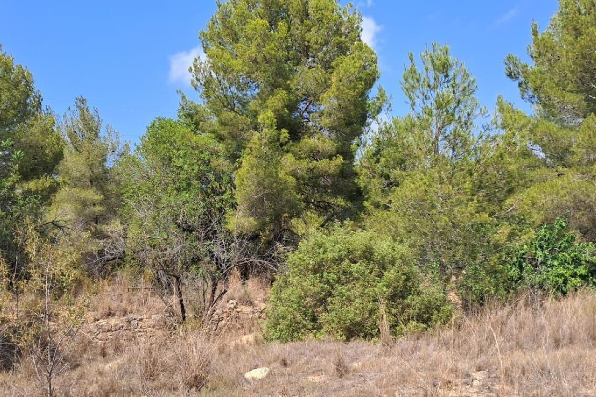 Resale - House - Paterna - LA CAÑADA