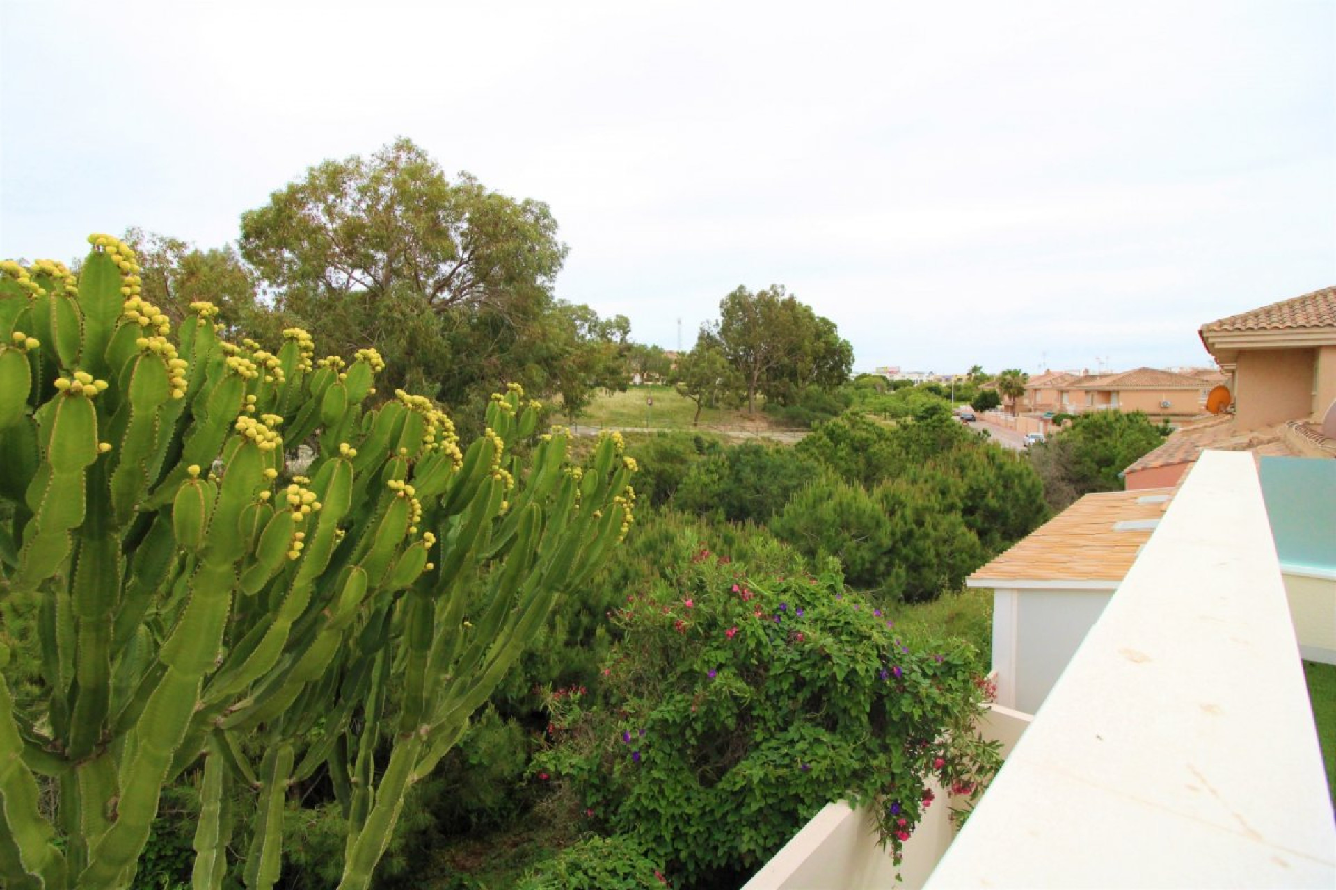 Resale - House - Torrevieja - Punta prima