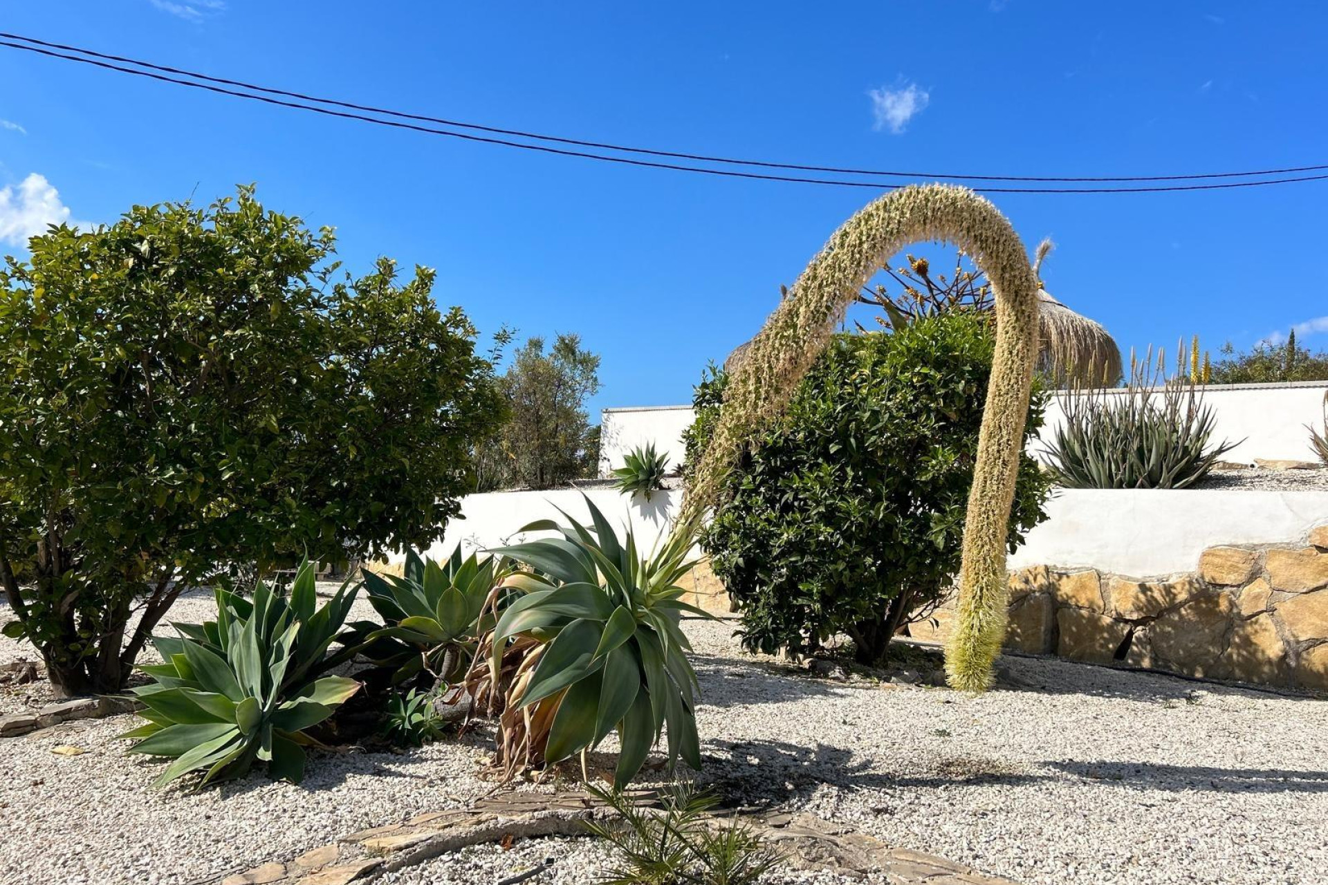 Resale - House - Villajoyosa - El Secanet - Hacienda del Sol