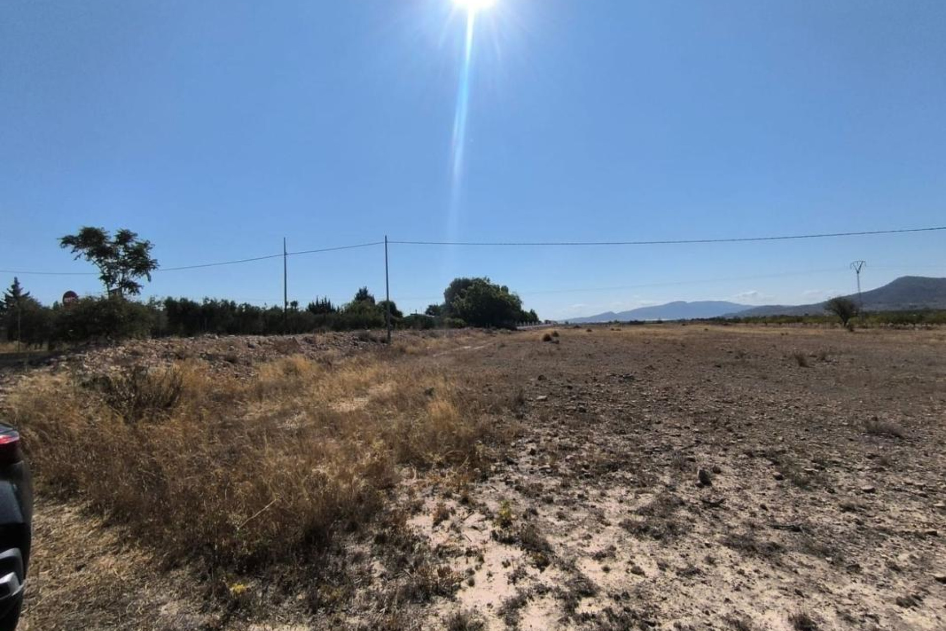 Resale - land - Pinoso