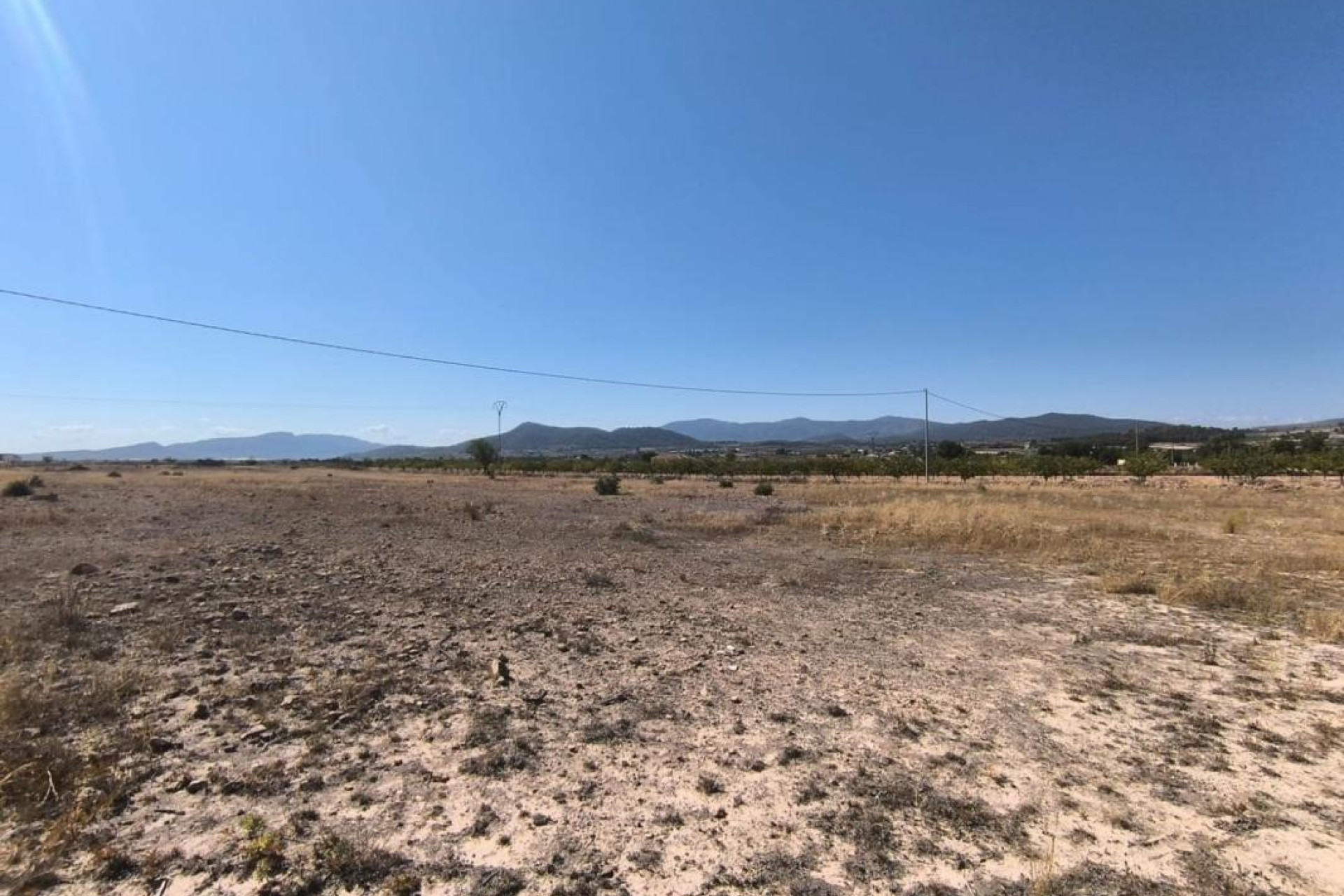Resale - land - Pinoso