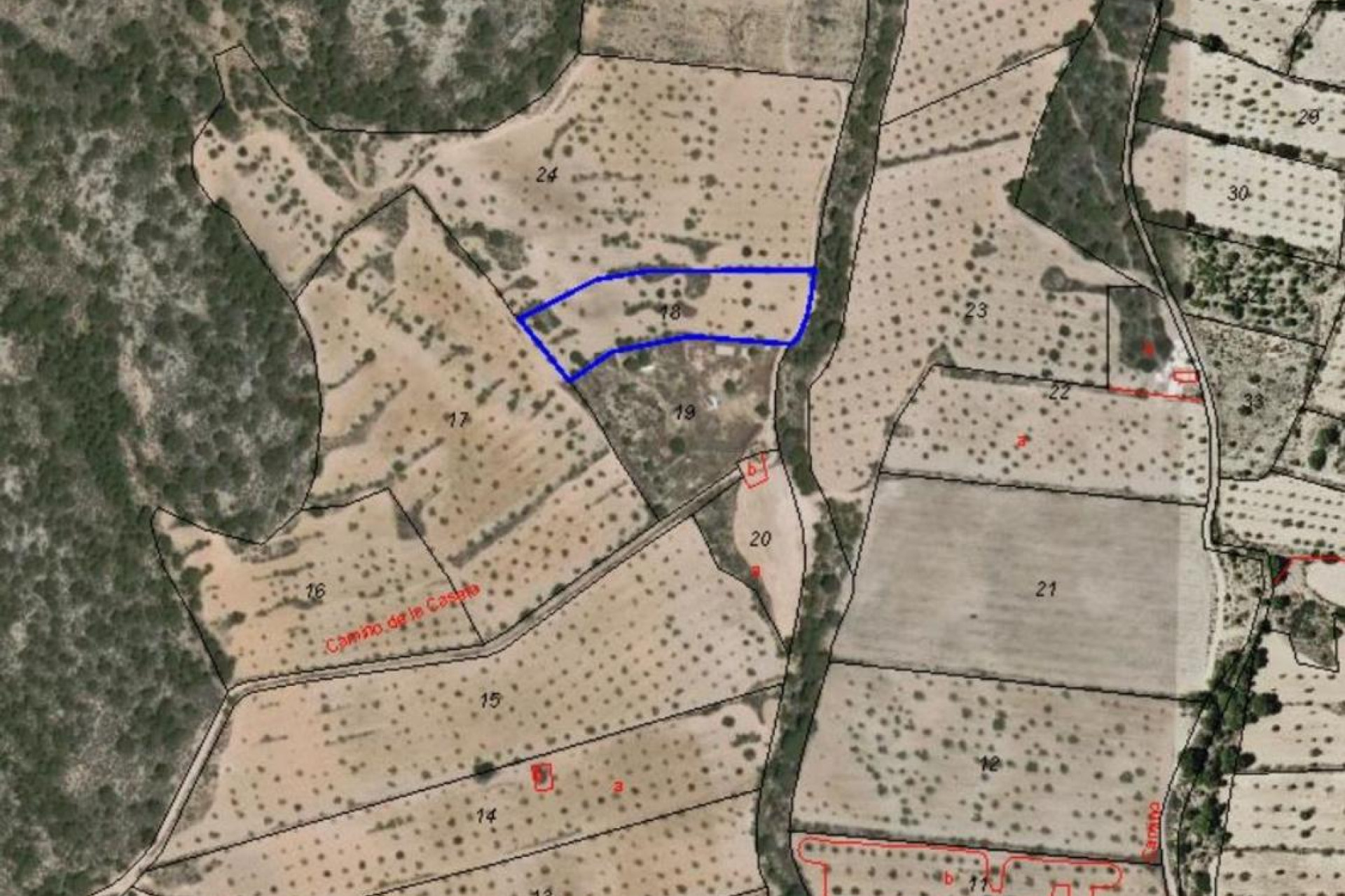 Resale - land - Pinoso