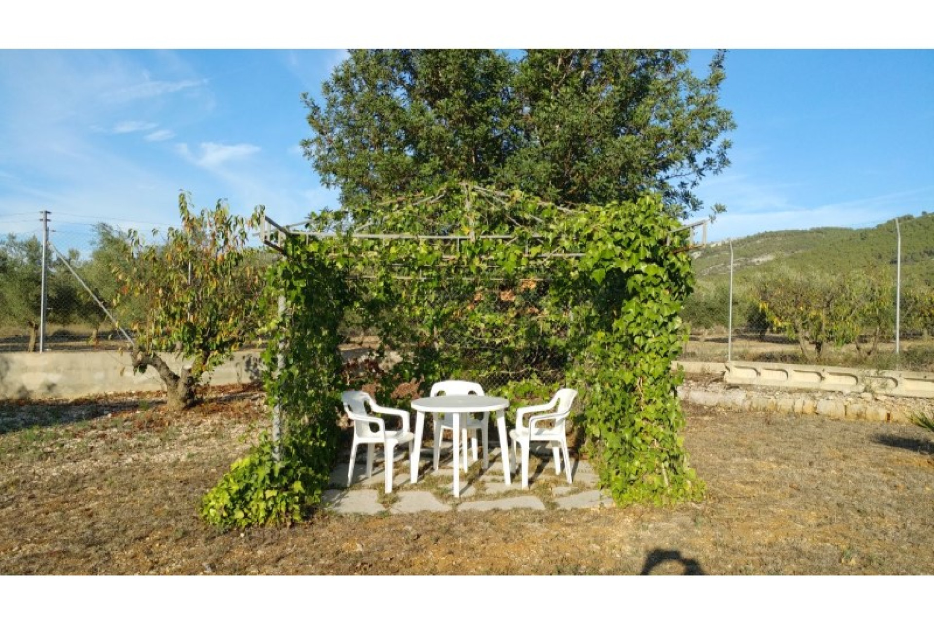 Resale - Mountain house - Sant Mateu