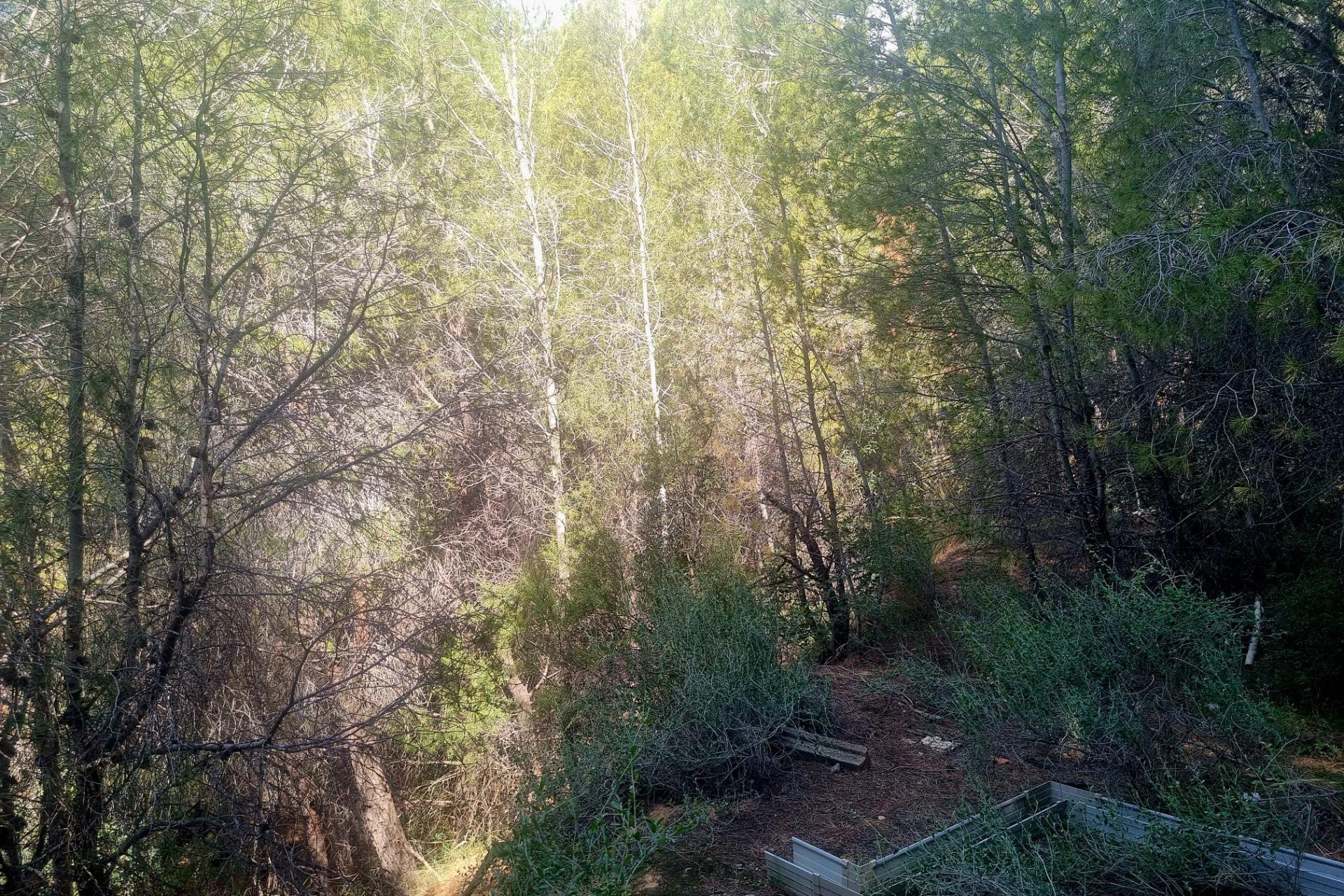 Resale - Parcela - Altea - Galera de las palmeras