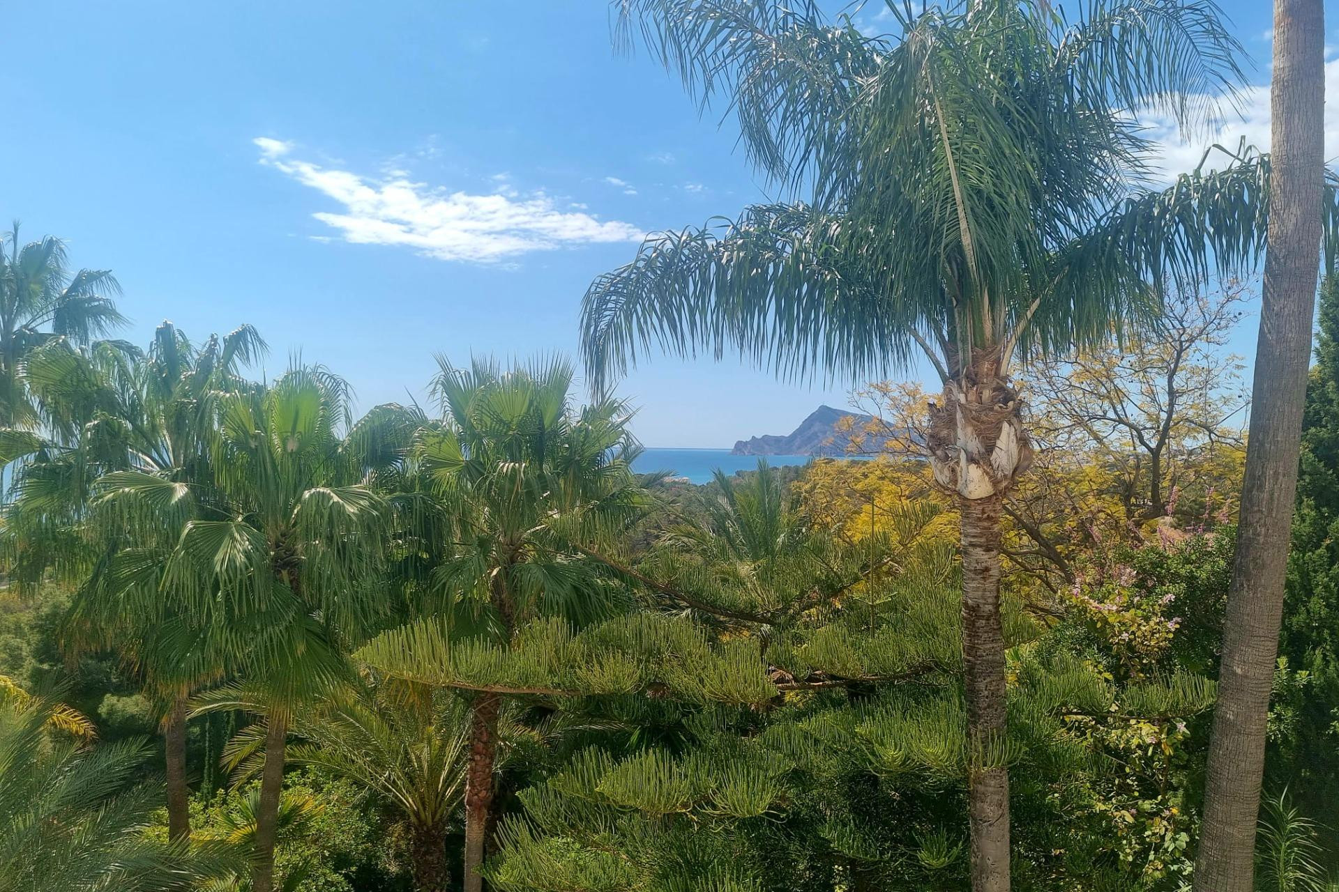 Resale - Parcela - Altea - Galera de las palmeras