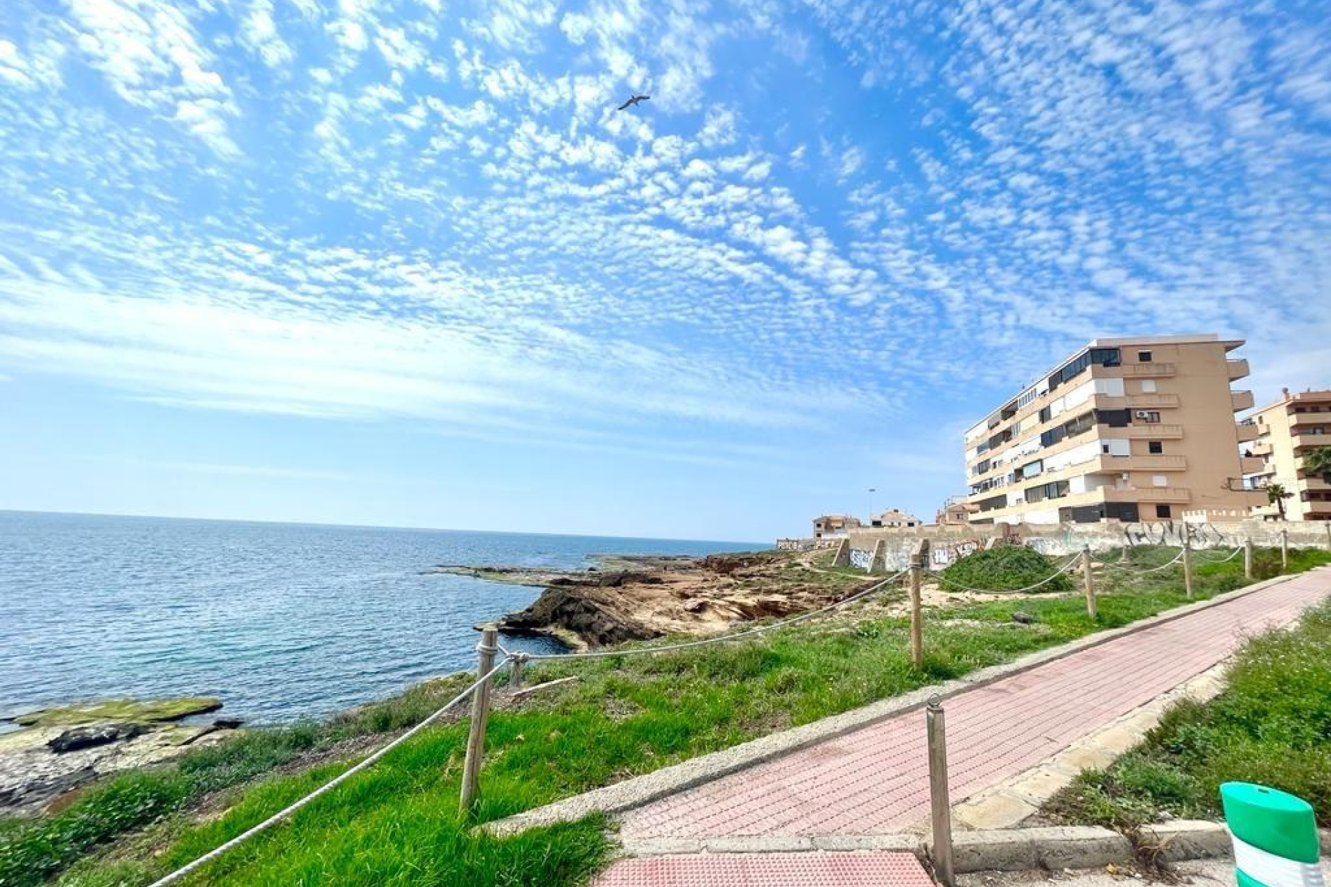 Resale - Pareado - Torrevieja - Cabo cervera