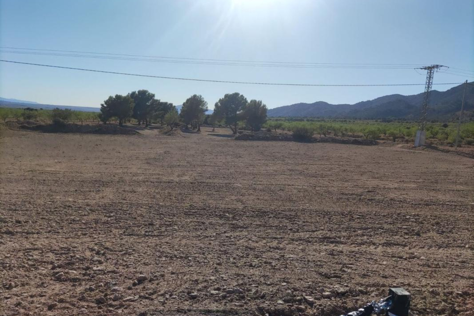 Resale - Plot / Land - Pinoso