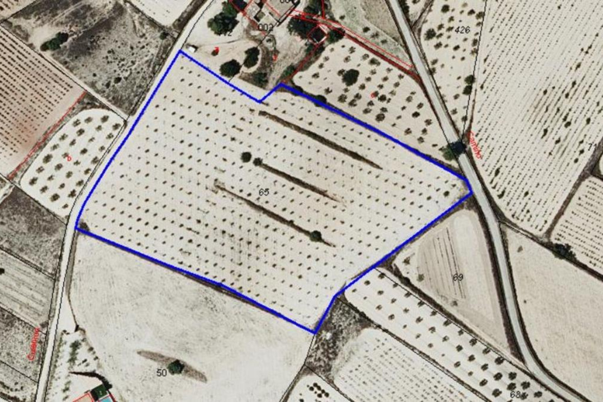 Resale - Plot / Land - Pinoso