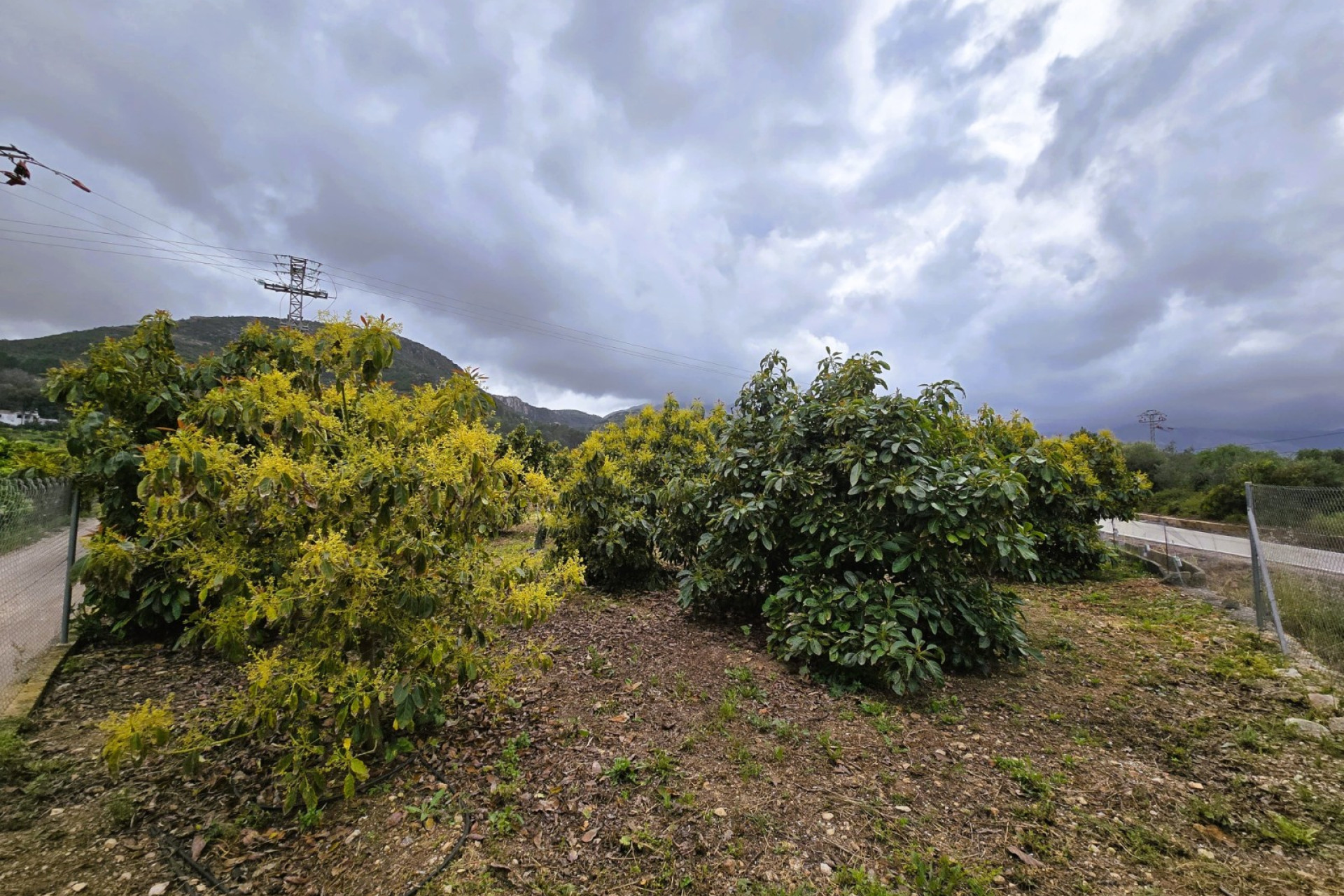 Resale - rustic plot - Pego