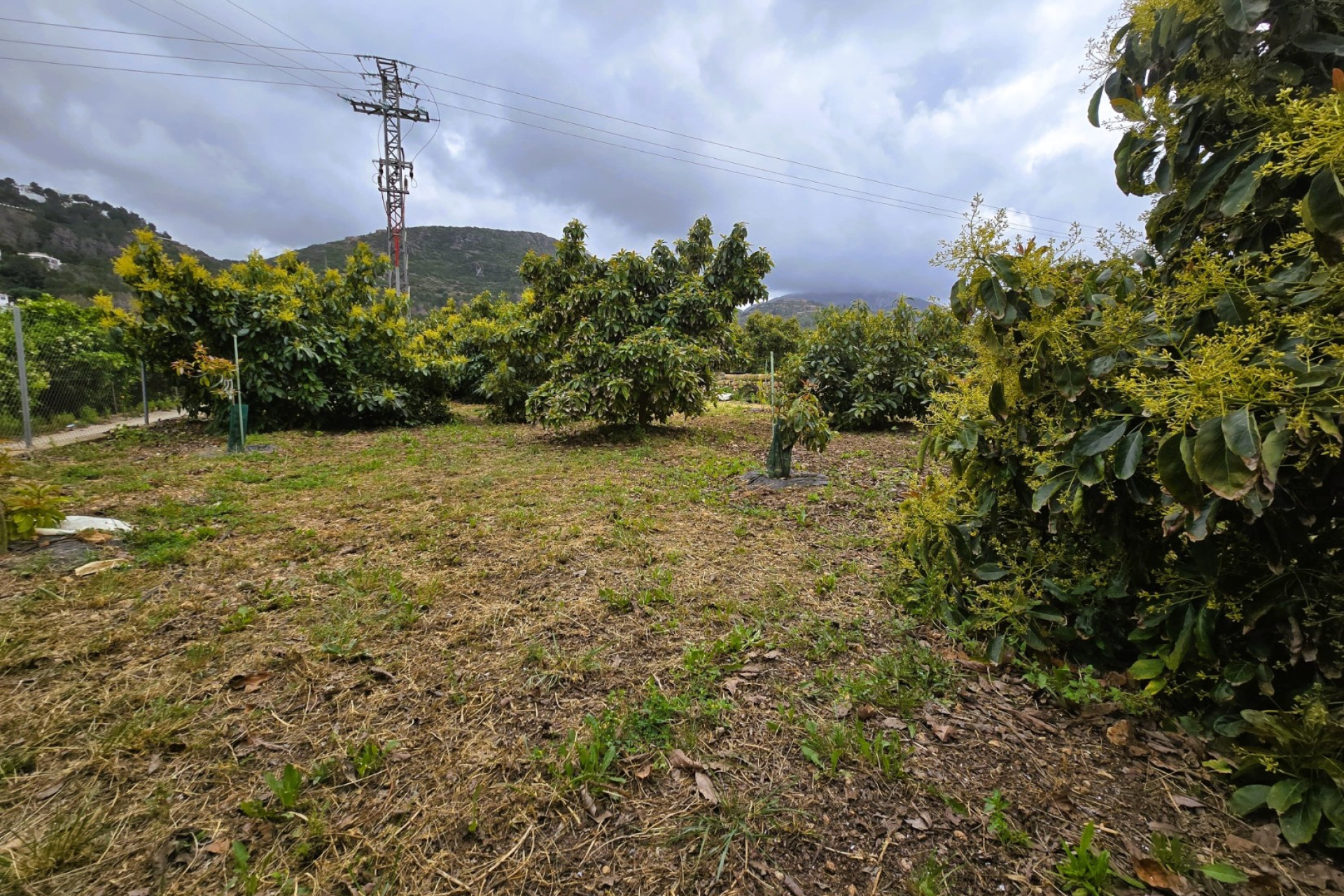 Resale - rustic plot - Pego