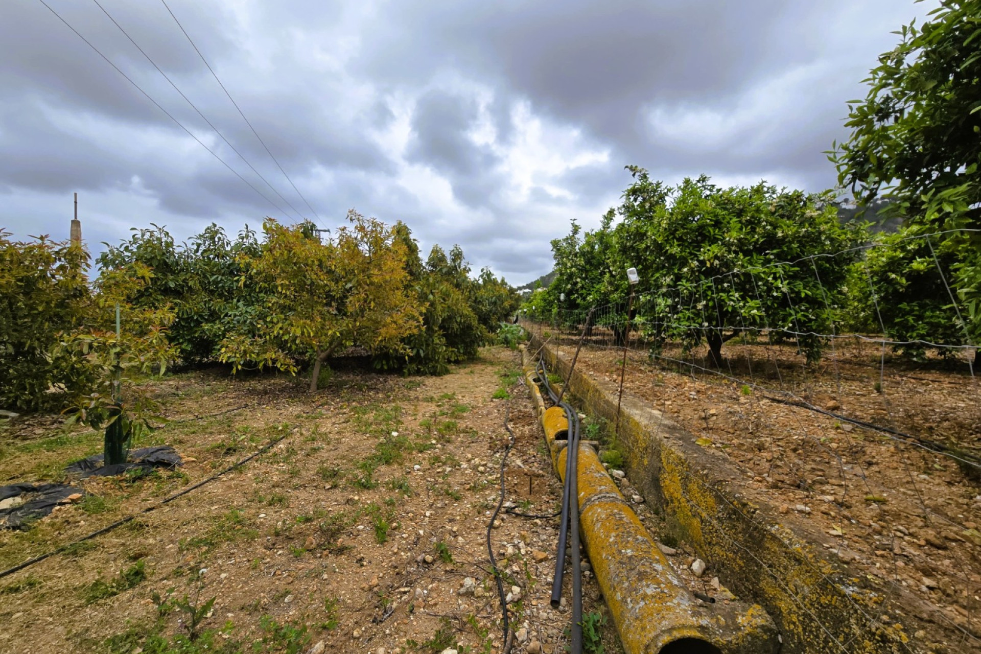 Resale - rustic plot - Pego