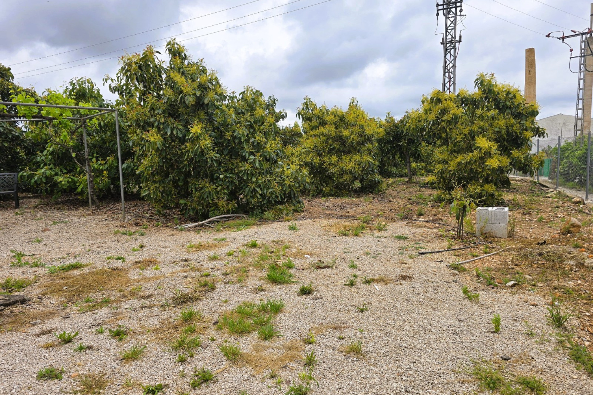 Resale - rustic plot - Pego