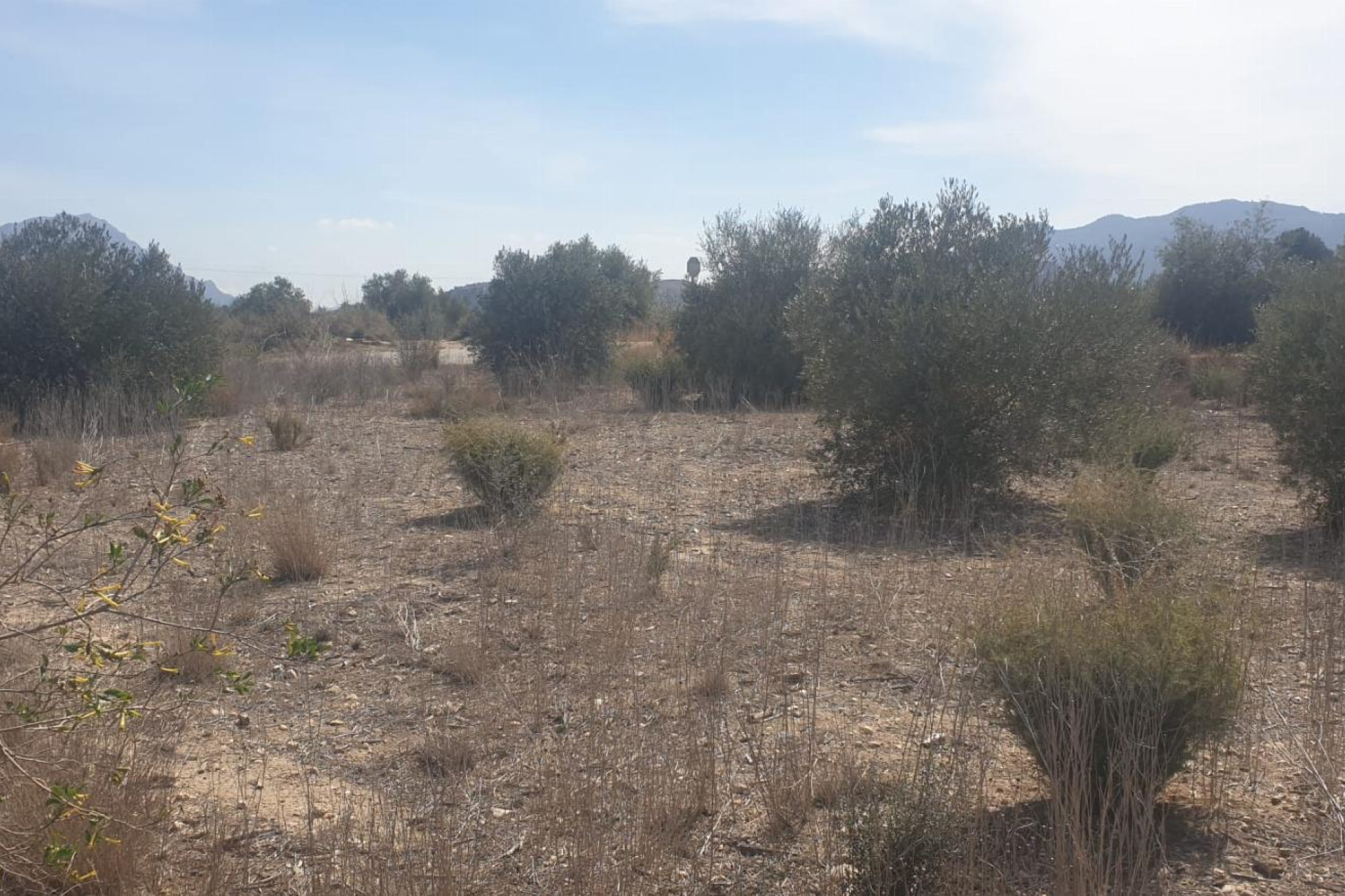Resale - Terreno - Benferri - HUERTA PUEBLO