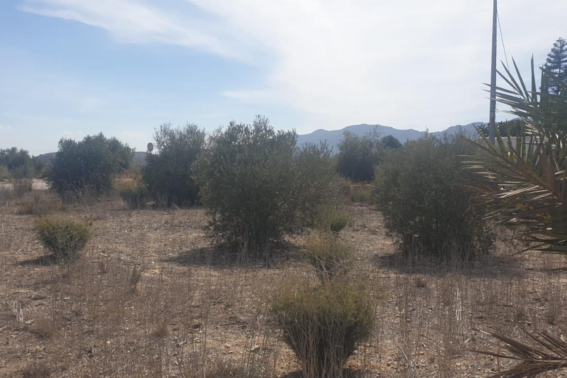 Resale - Terreno - Benferri - HUERTA PUEBLO