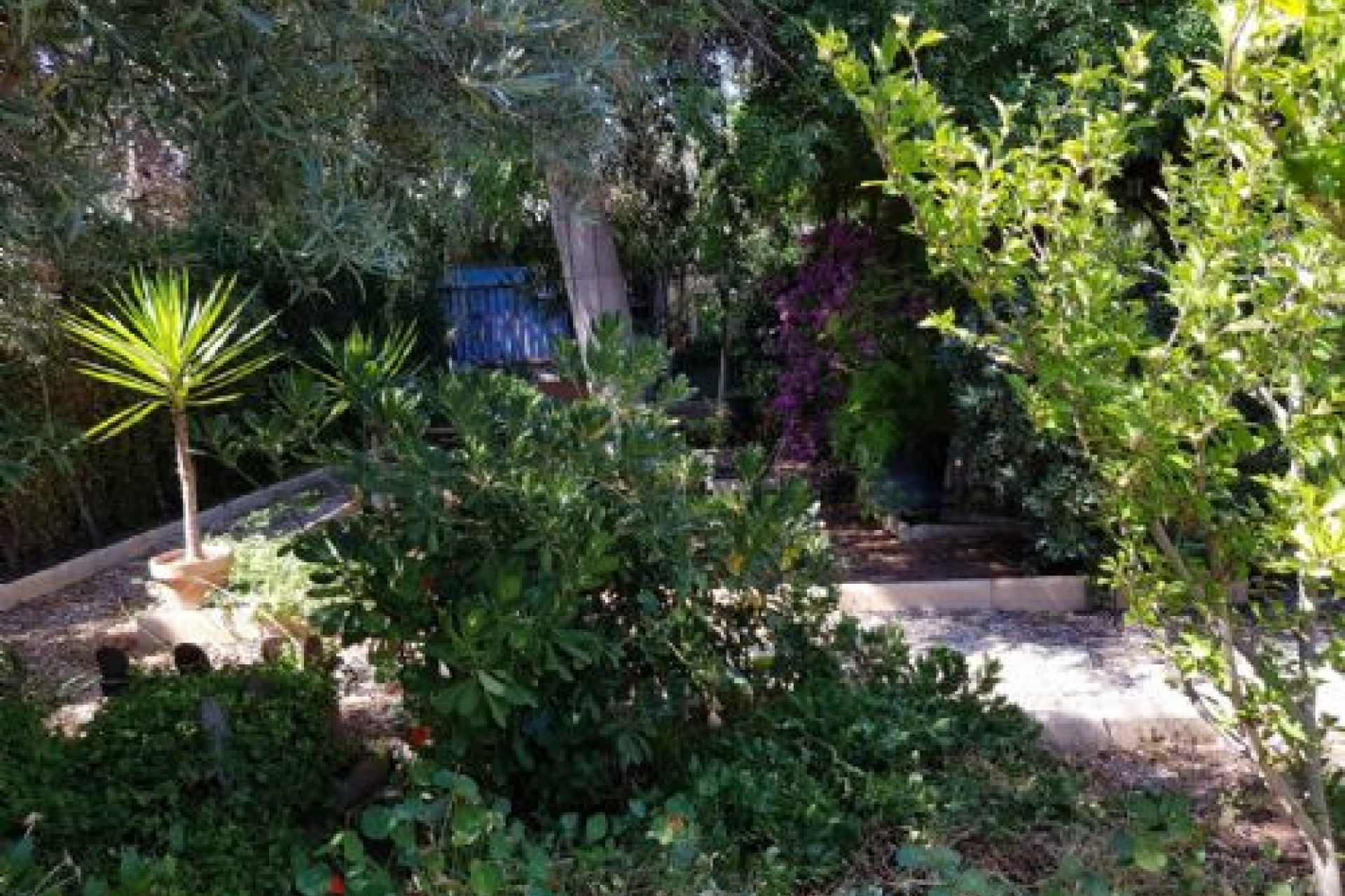 Resale - Town House - Macisvenda - MACISVENDA