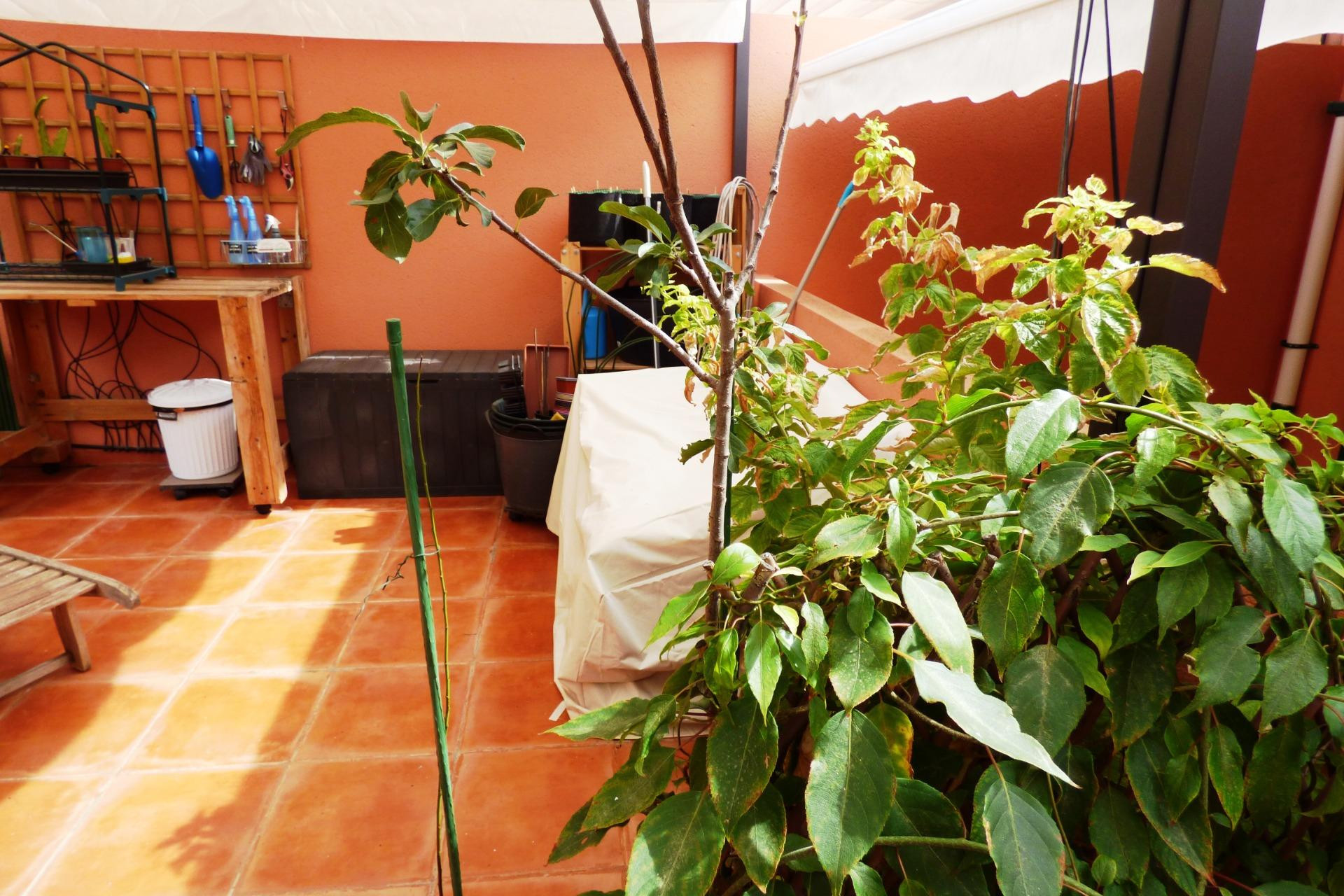 Resale - Townhouse - Alicante - Alicante Golf