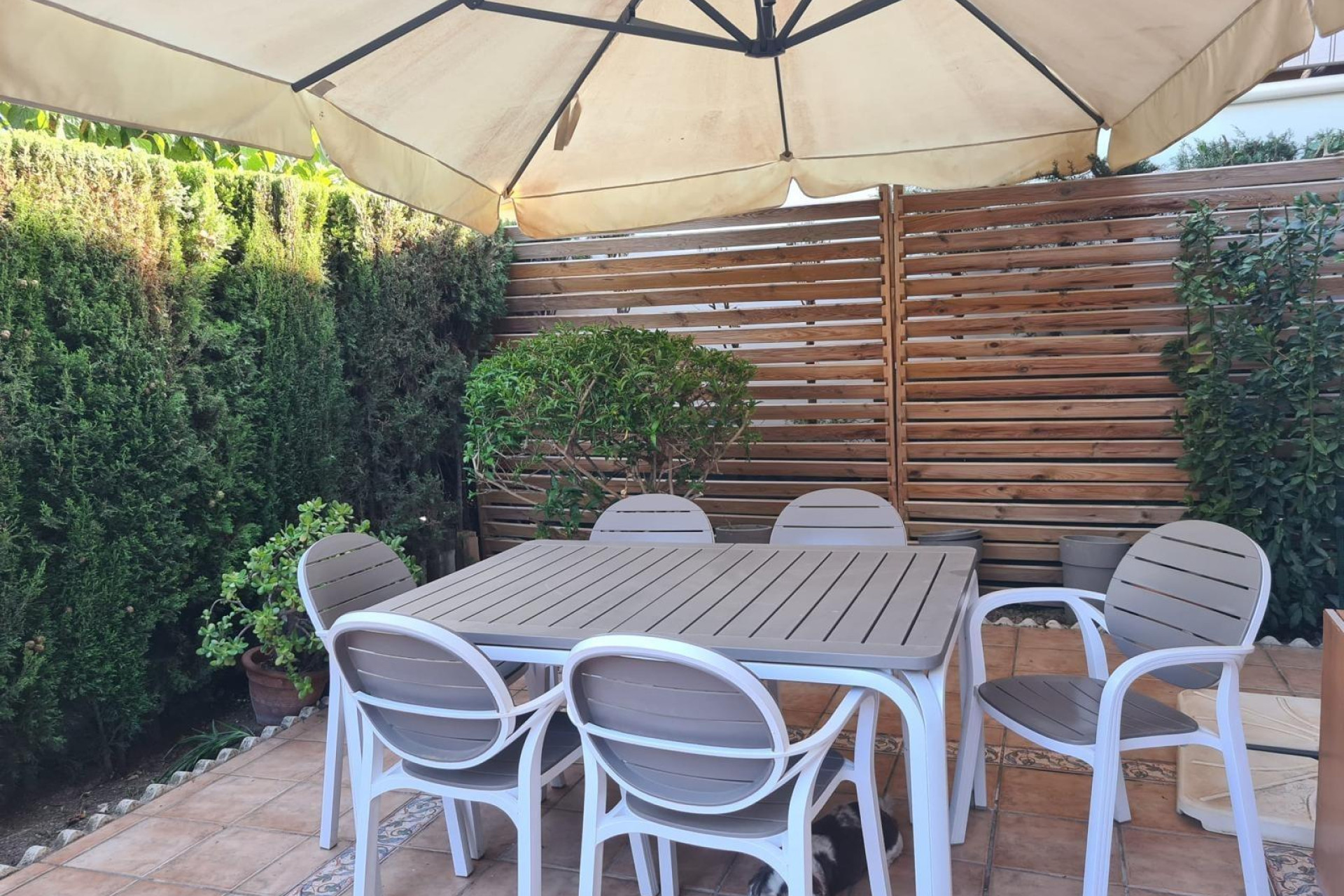 Resale - Townhouse - Alicante - Deportista Miriam Blasco