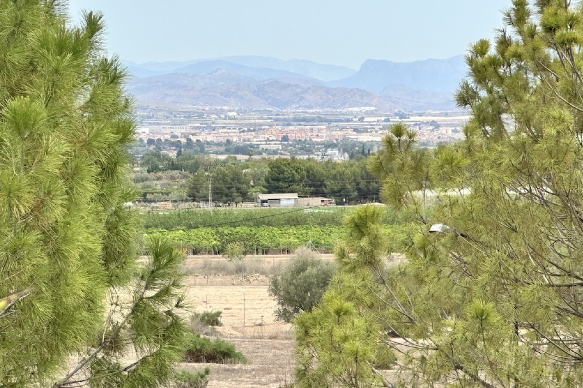 Resale - Villa - Aspe - ASPE