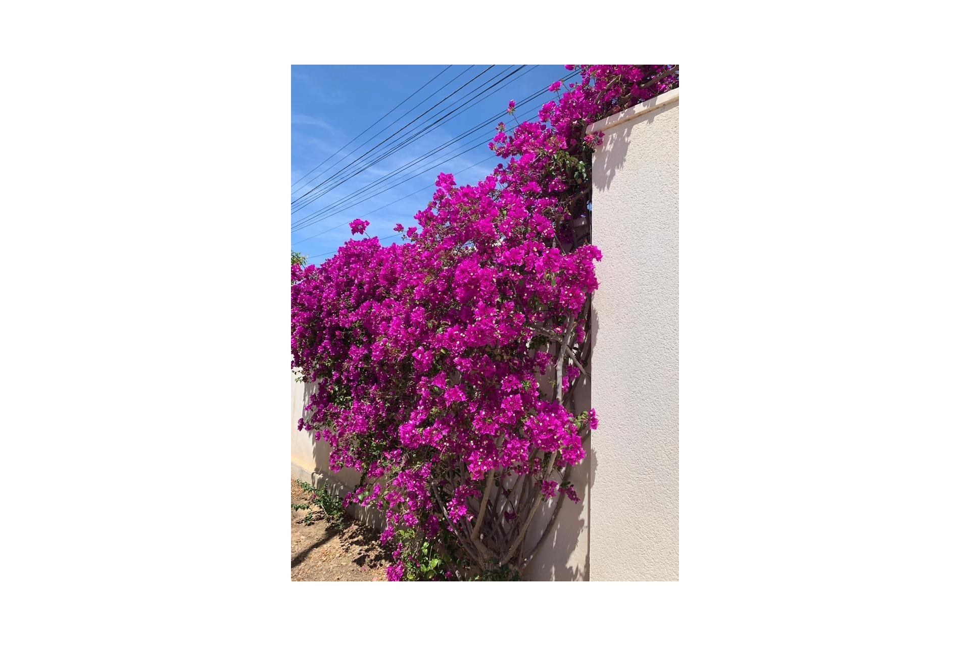 Resale - Villa - Ciudad Quesada - Rojales