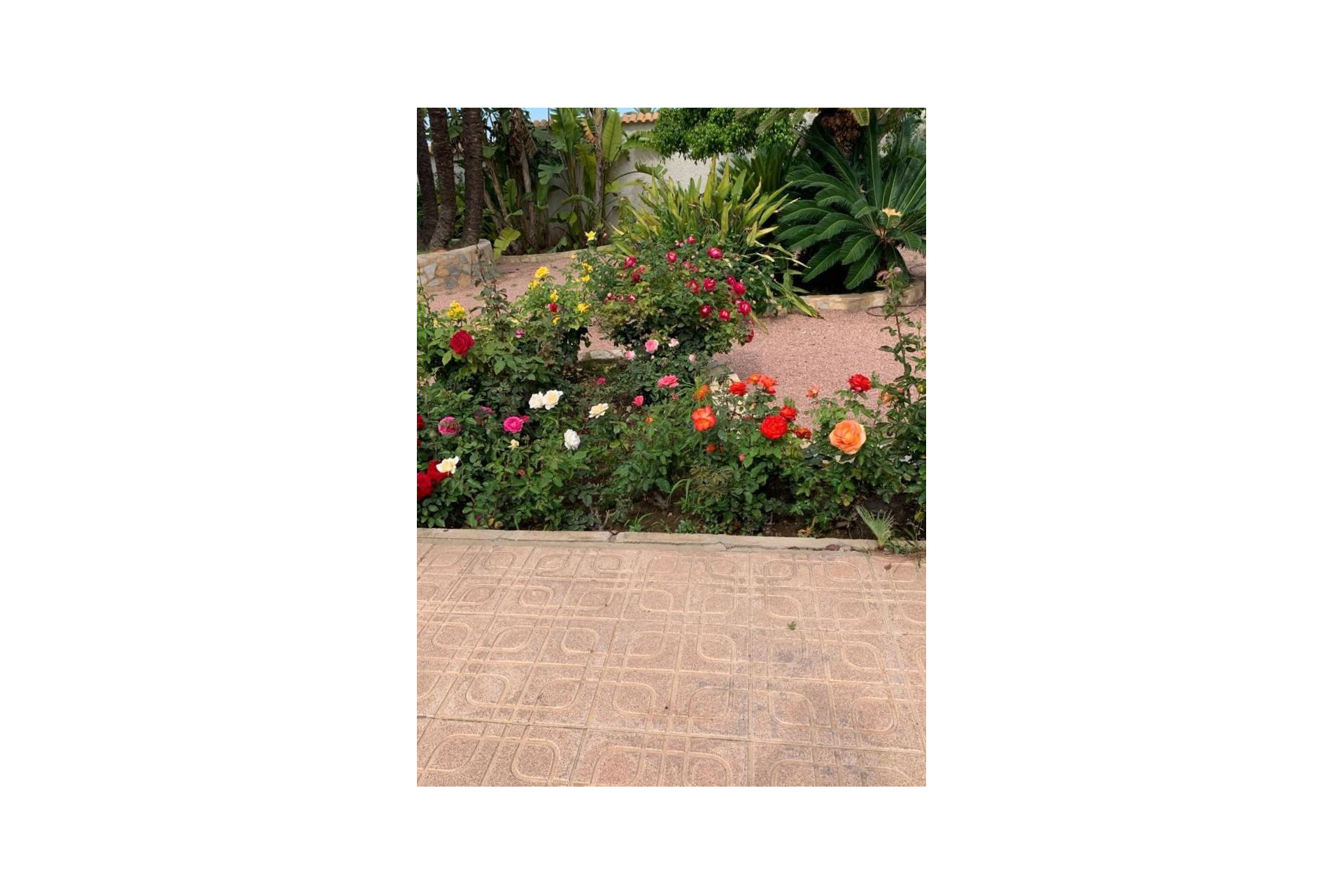 Resale - Villa - Ciudad Quesada - Rojales