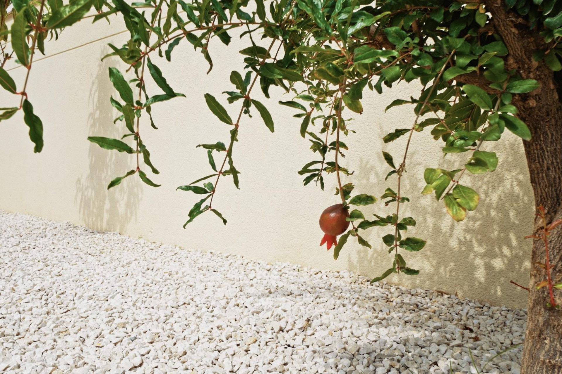 Resale - Villa de Lujo - Polop - Urbanizaciones