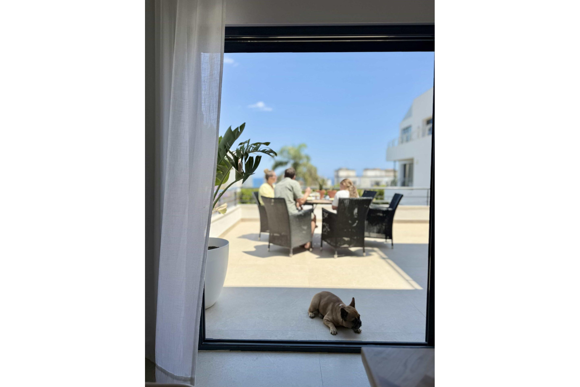 Resale - Villa de Lujo - San Juan Playa - Cabo de las huertas