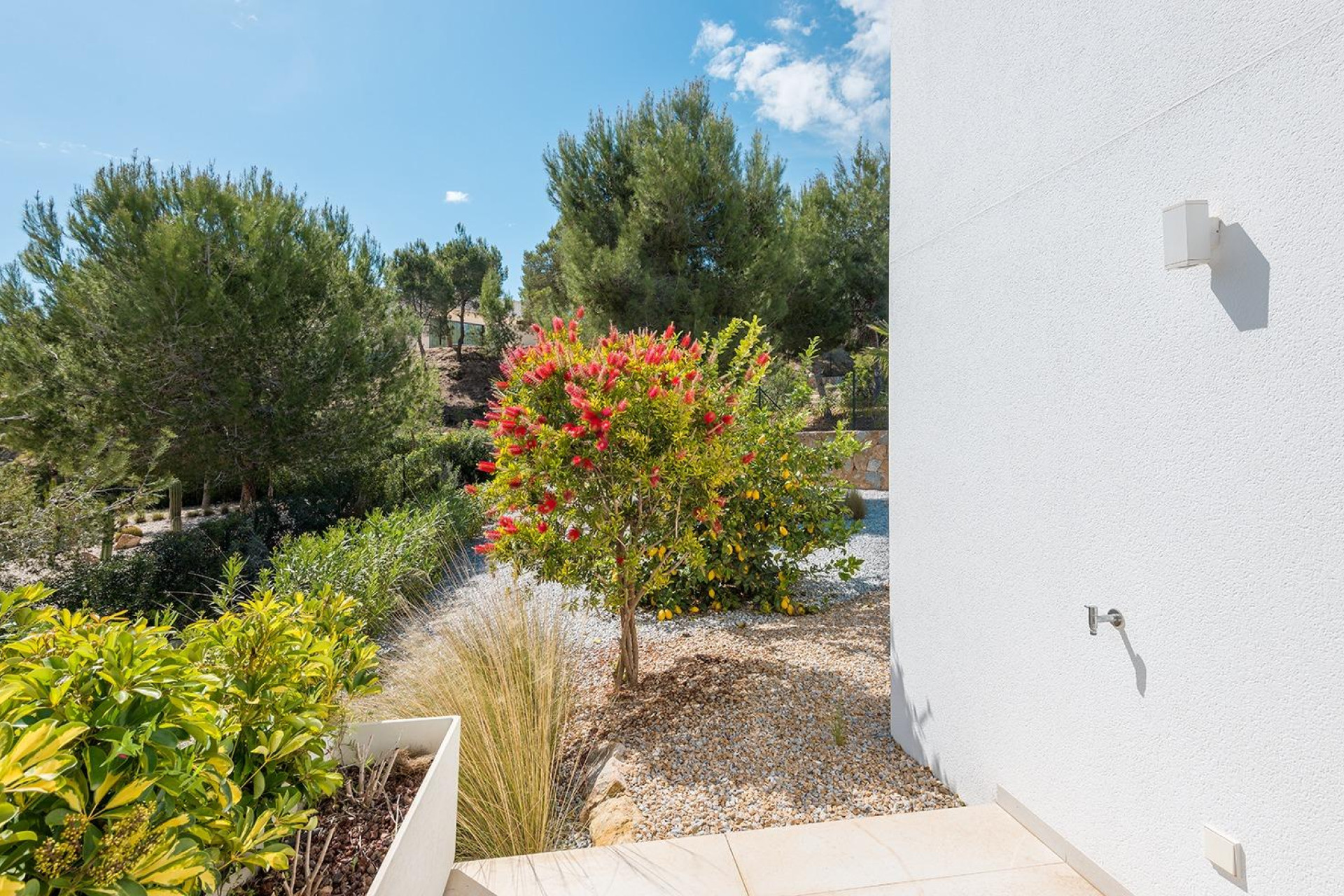 Resale - Villa de Lujo - San Miguel de Salinas - Las Colinas golf