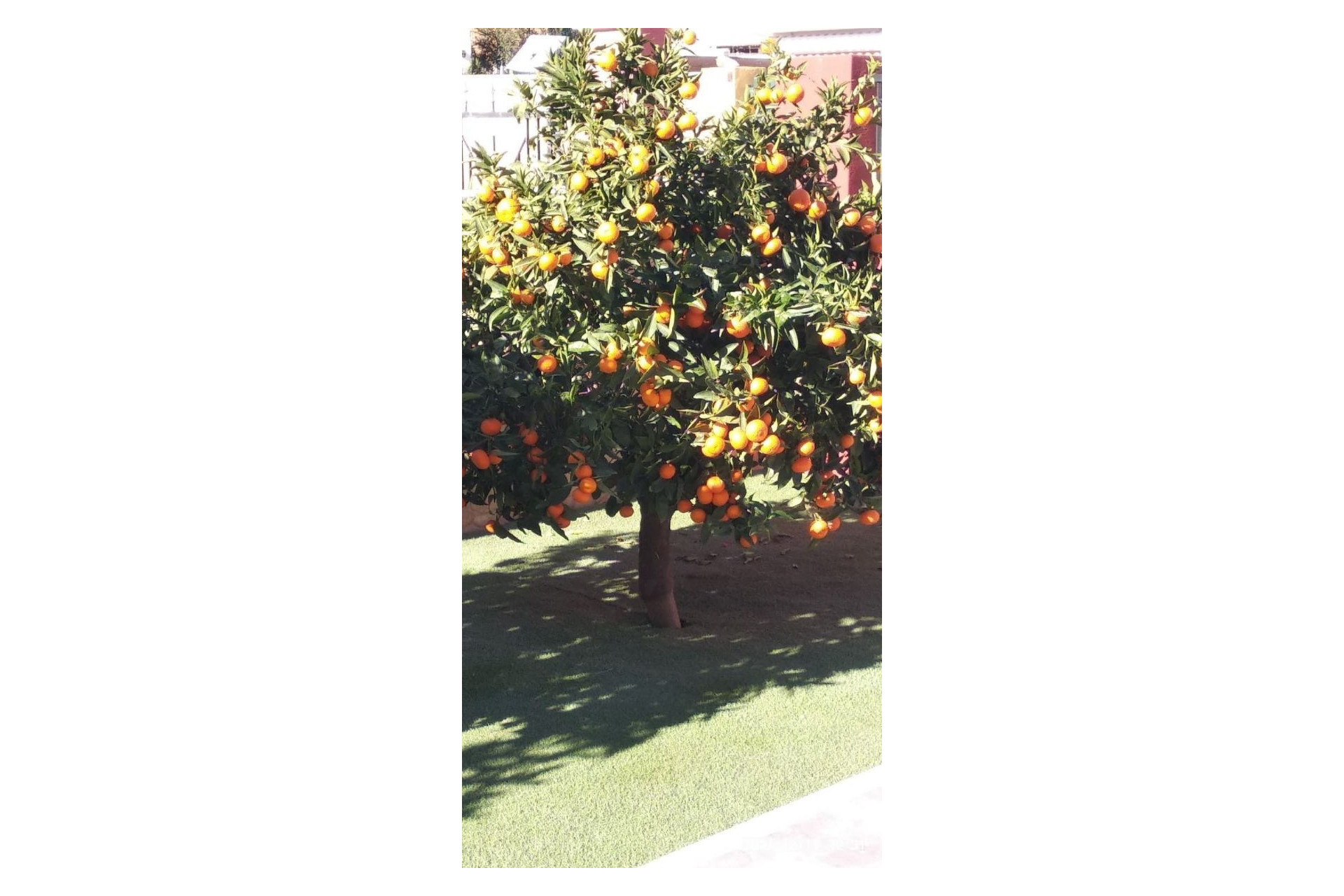 Resale - Villa - Finestrat - Finestrat pueblo