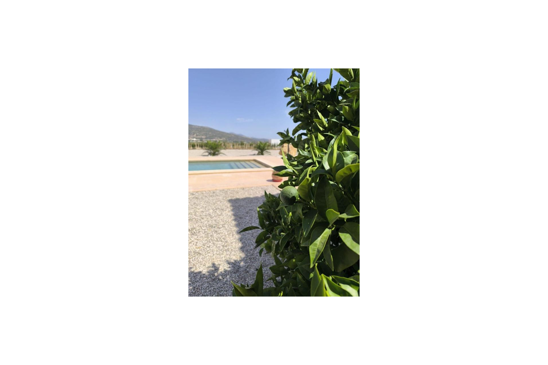 Resale - Villa - Pinoso