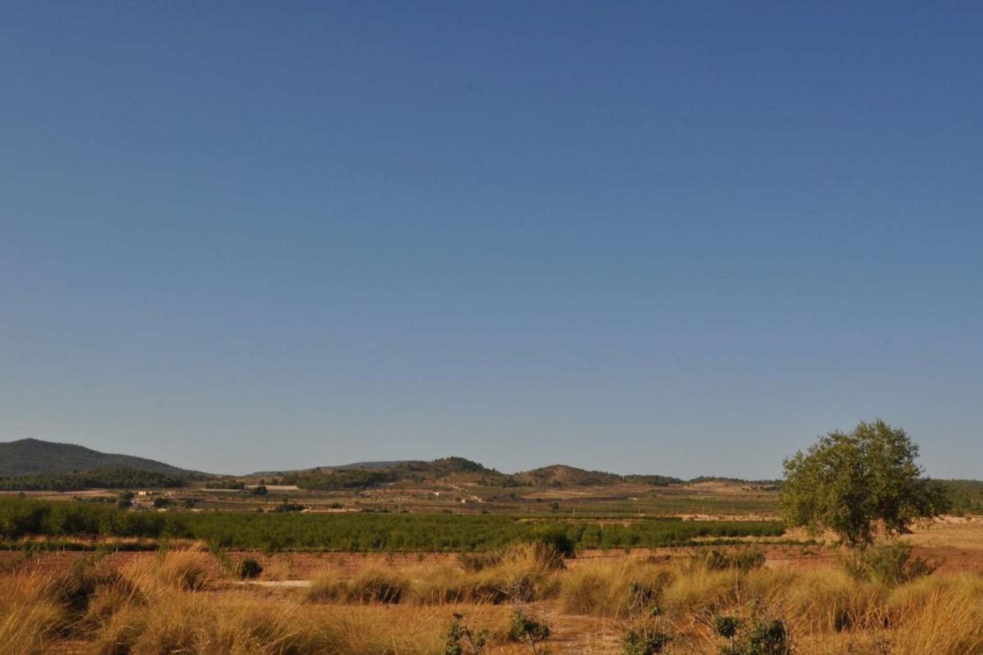 Resale - Villa - Pinoso