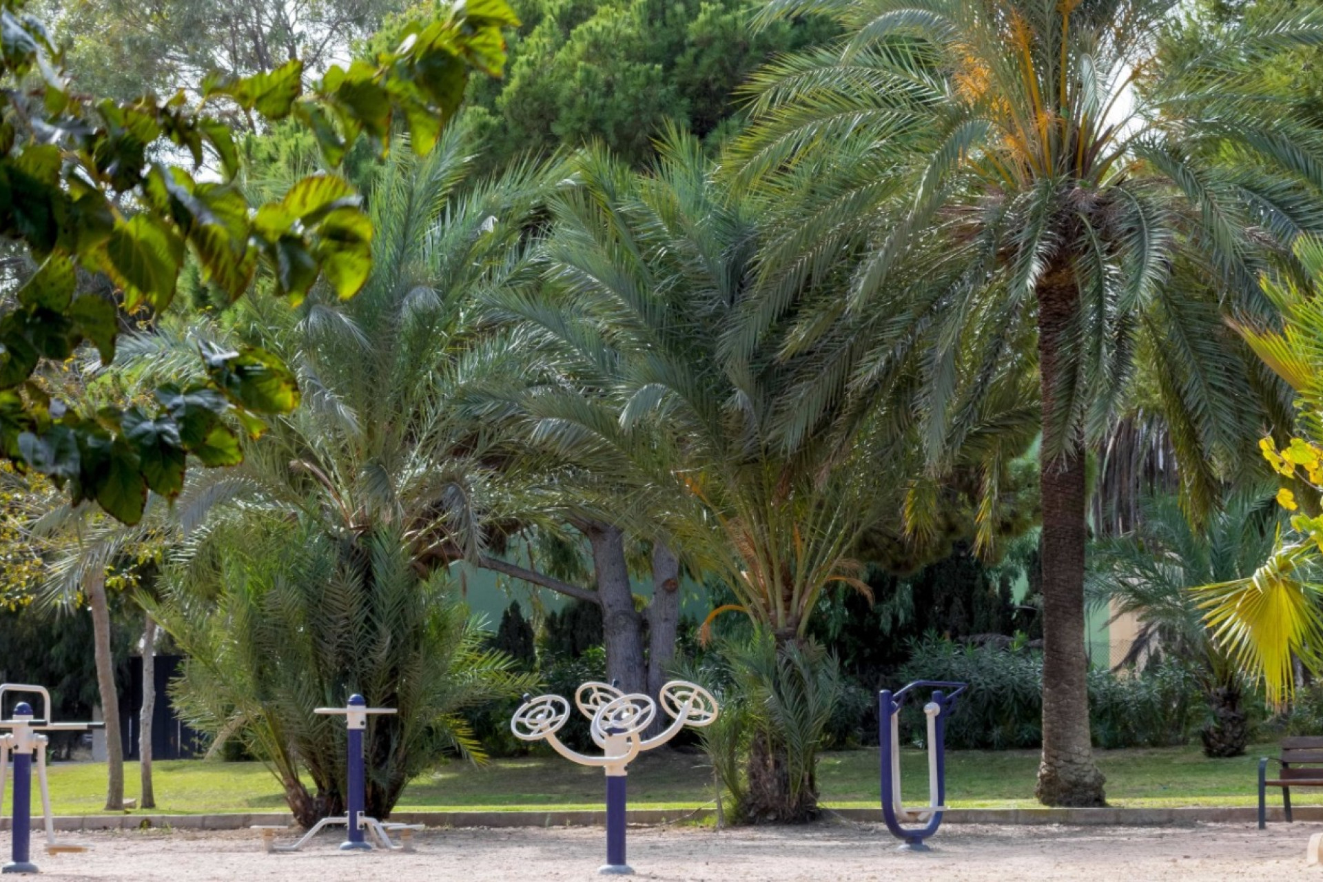 Reventa - Adosado - Orihuela Costa - La Zenia