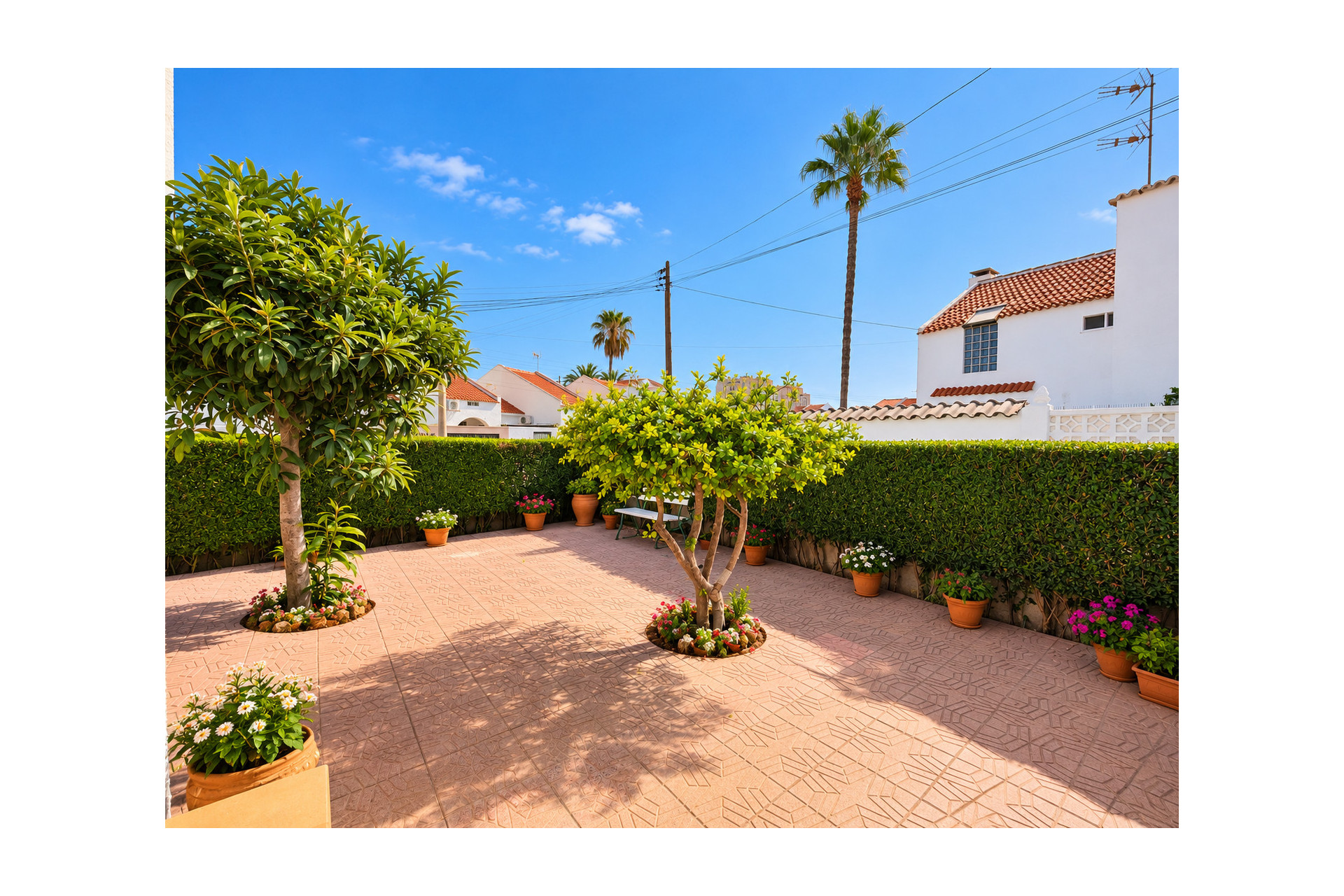 Reventa - Adosado - Torrevieja - Torrevieja - Centre