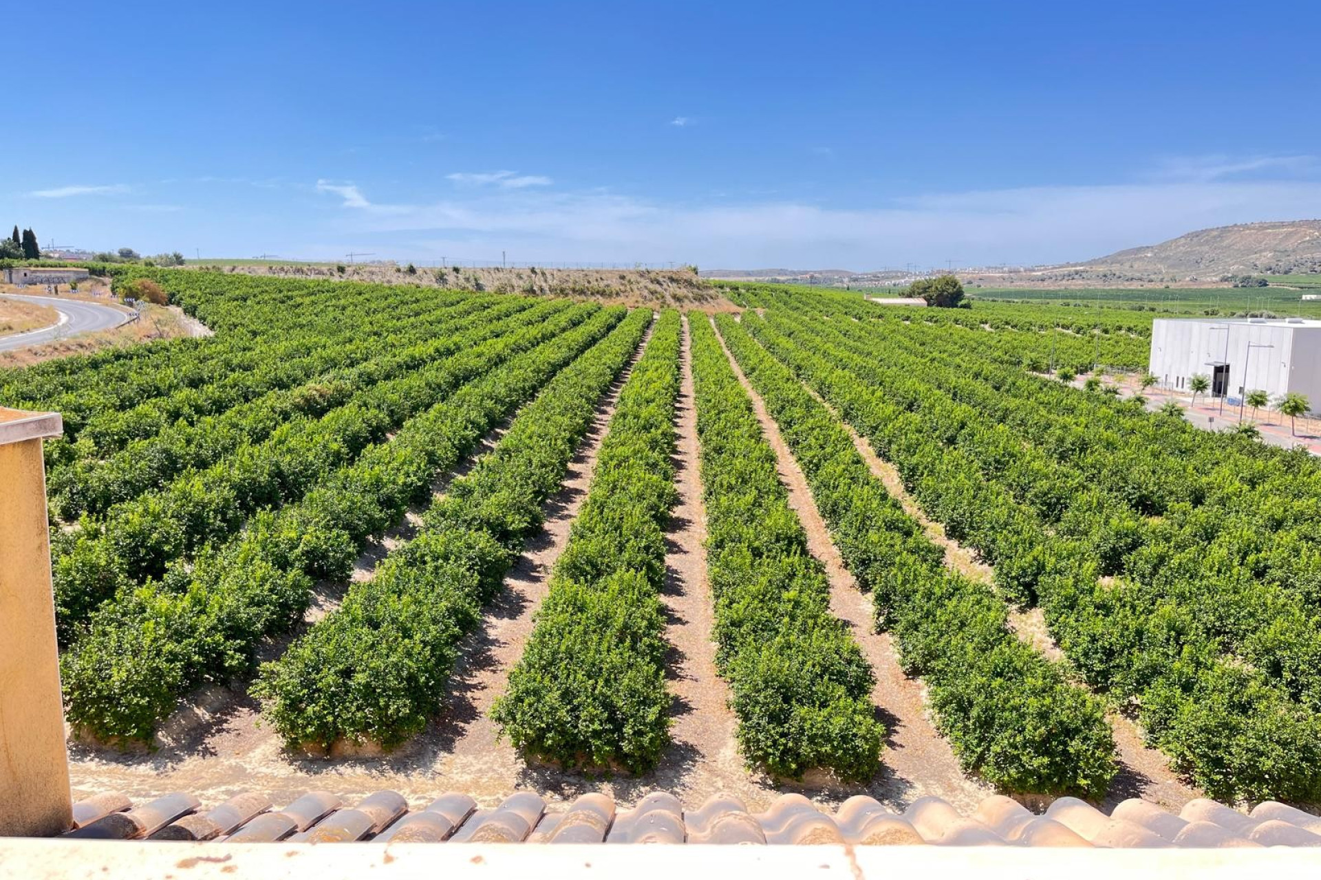 Reventa - Apartamento / piso - Algorfa - Algorfa - Village