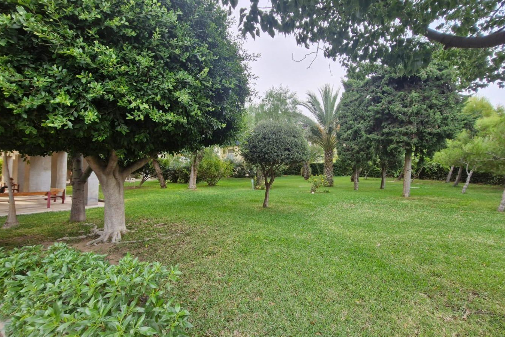 Reventa - Apartamento / piso - Alicante - Babel