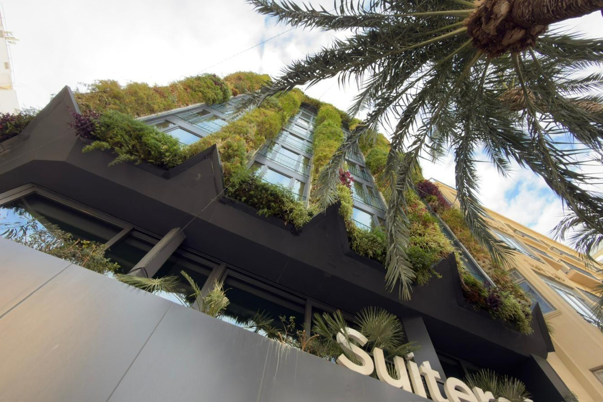 Reventa - Apartamento / piso - Alicante - Mercado