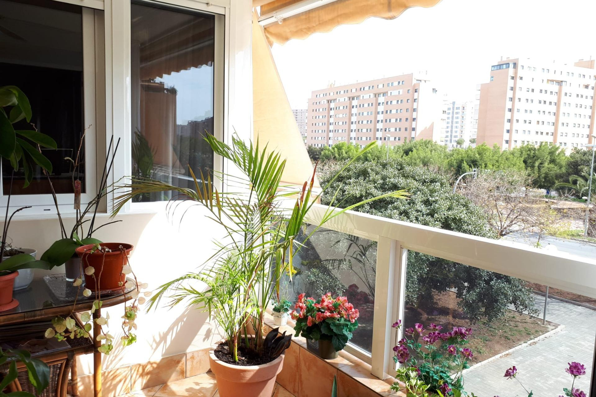 Reventa - Apartamento / piso - Alicante - Playa de San Juan