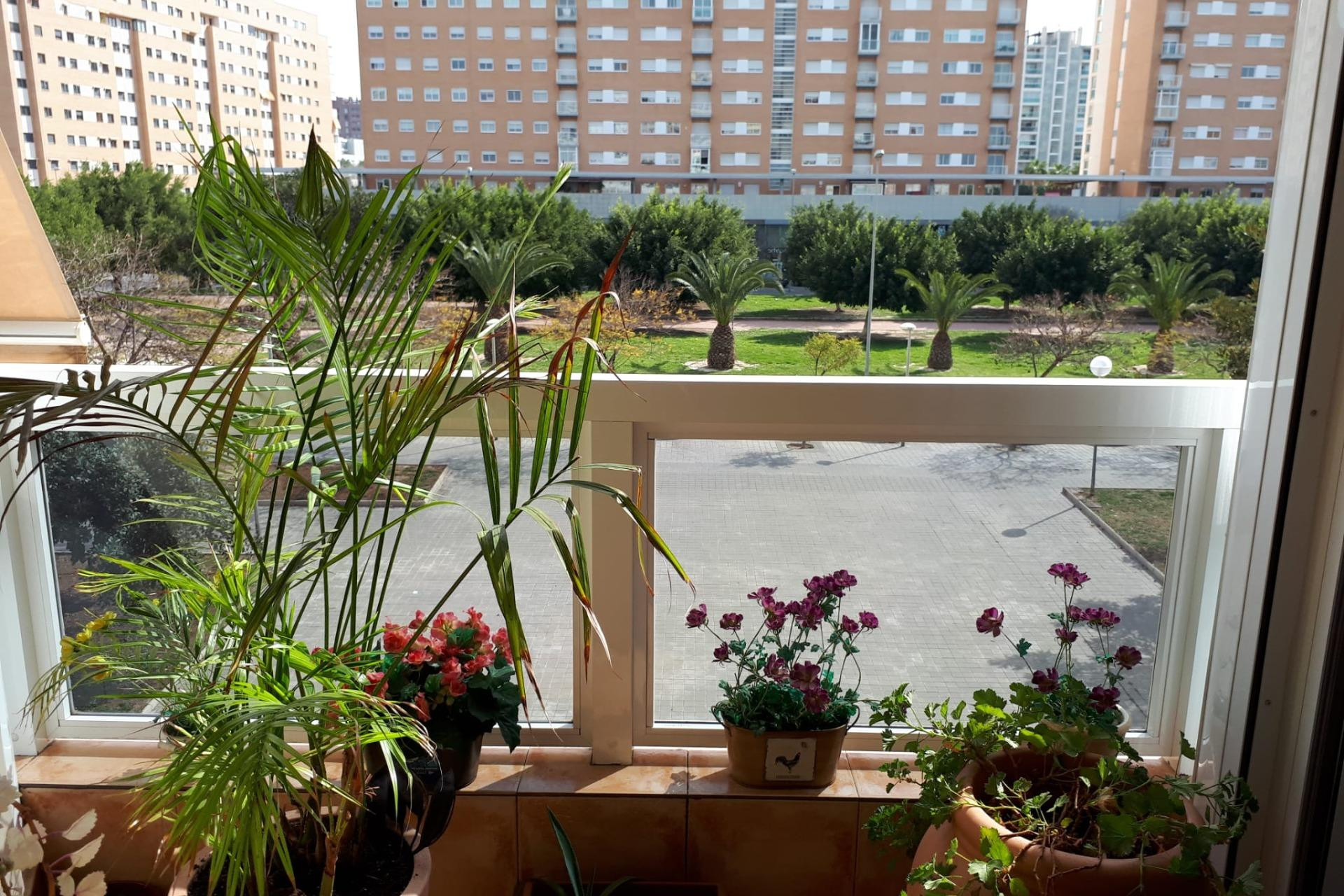 Reventa - Apartamento / piso - Alicante - Playa de San Juan