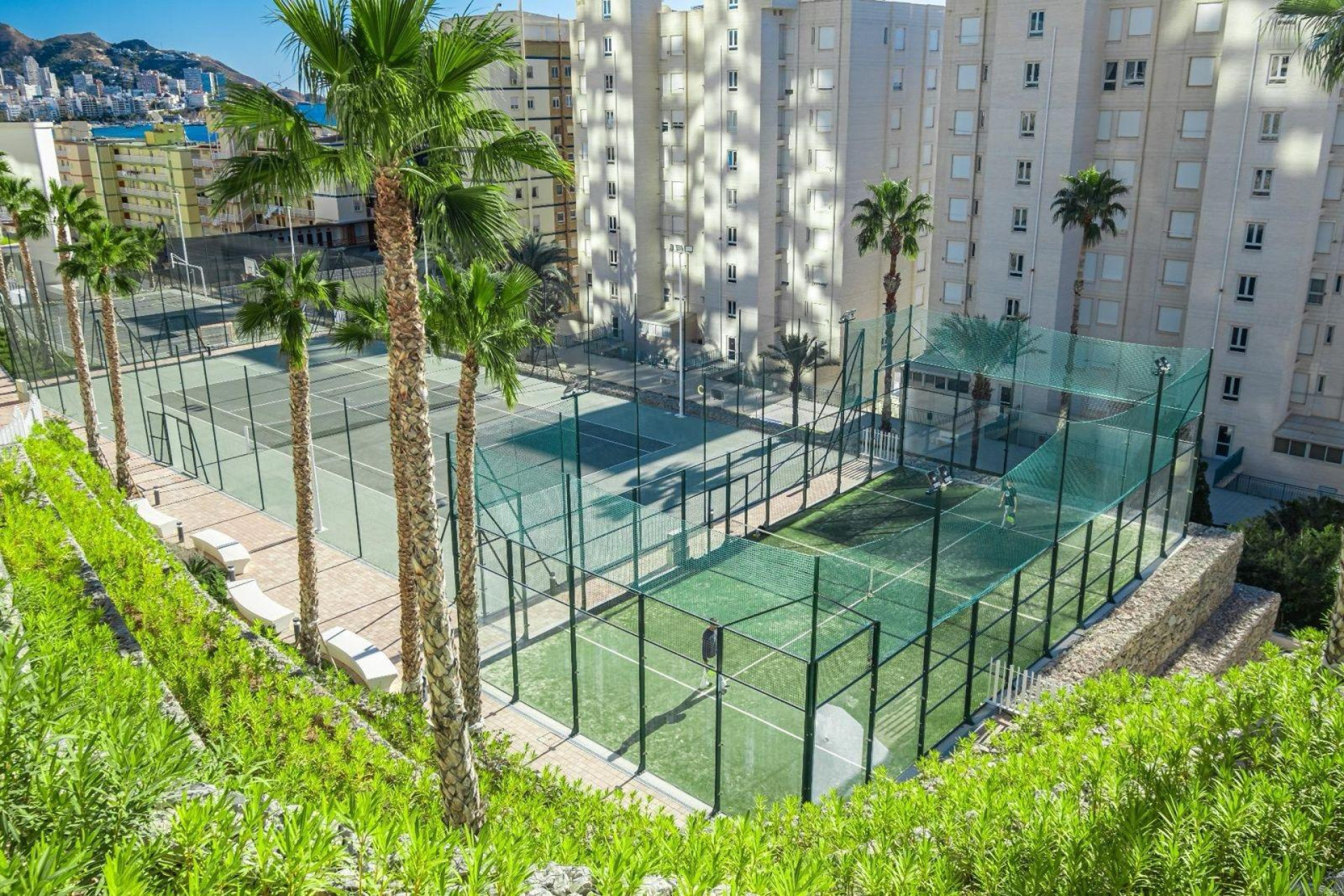 Reventa - Apartamento / piso - Benidorm - Playa de Poniente