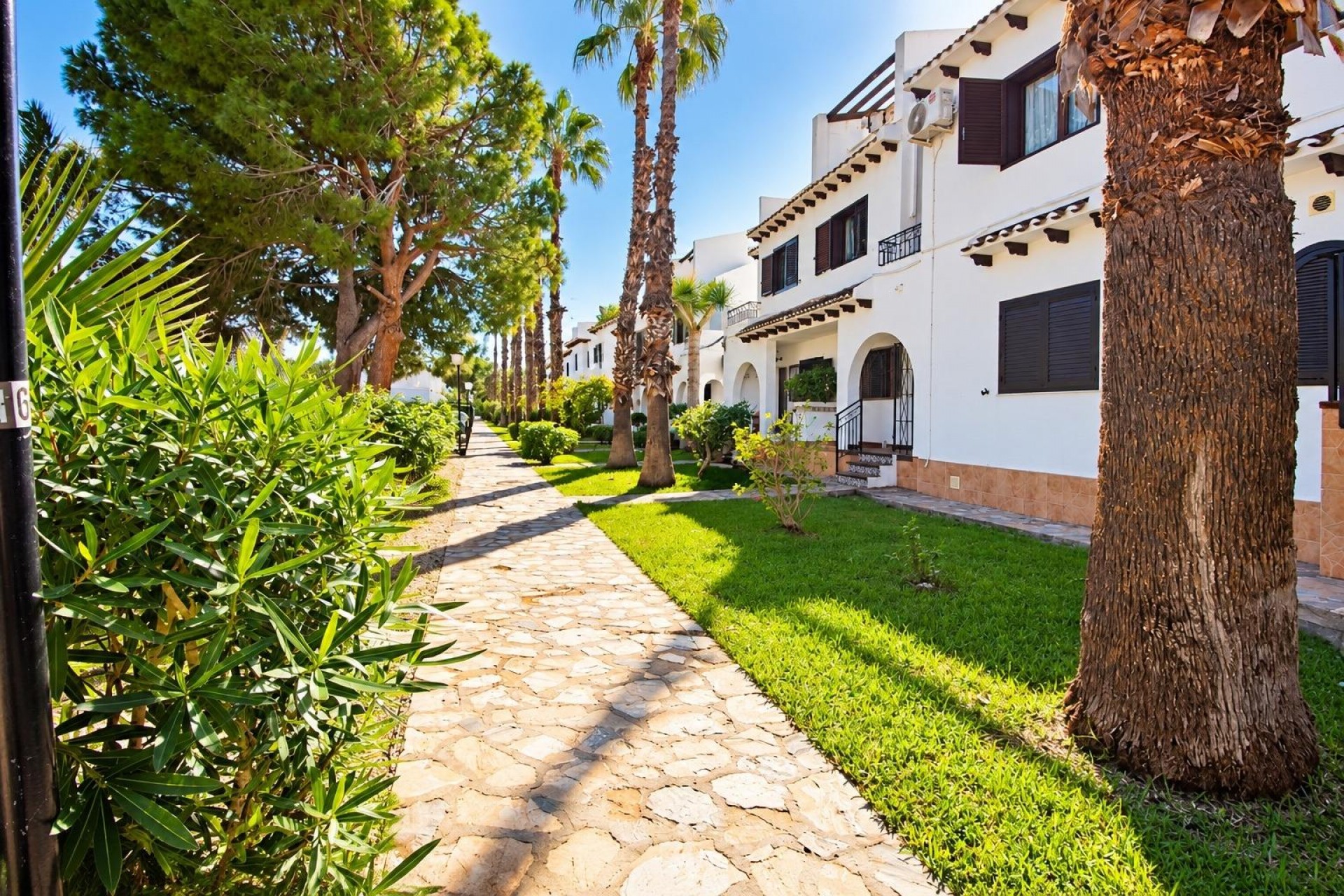 Reventa - Apartamento / piso - Cabo Roig