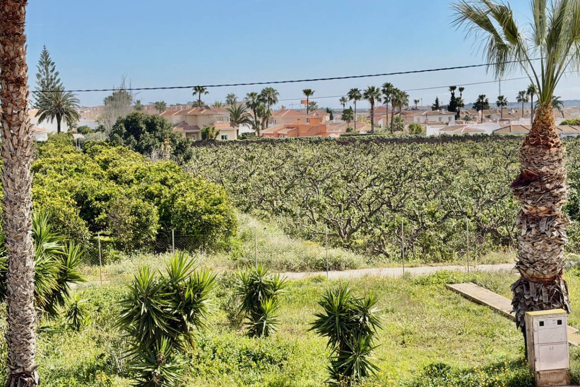 Reventa - Apartamento / piso - Ciudad Quesada - Ciudad Quesada - Doña Pepa