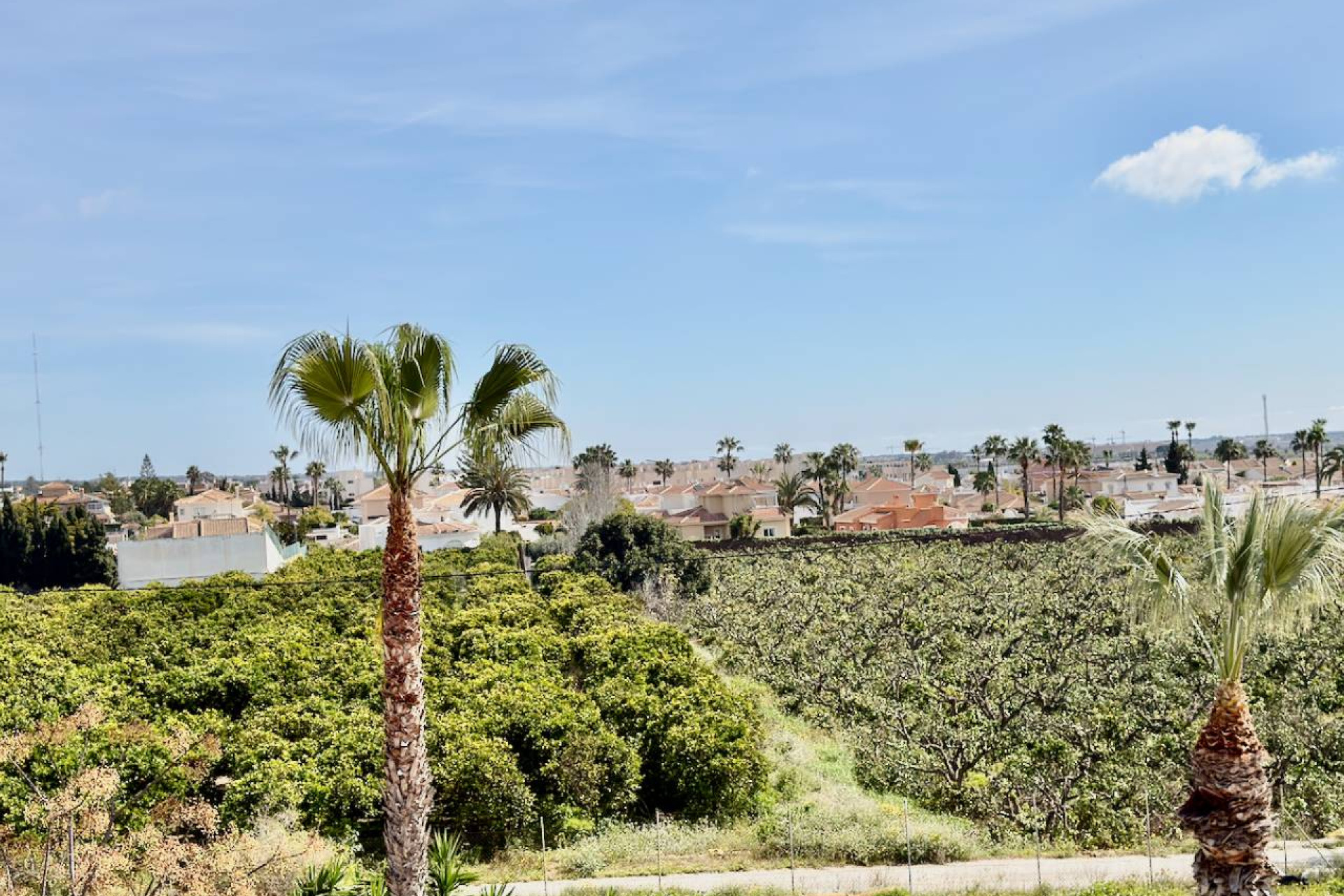 Reventa - Apartamento / piso - Ciudad Quesada - Ciudad Quesada - Doña Pepa