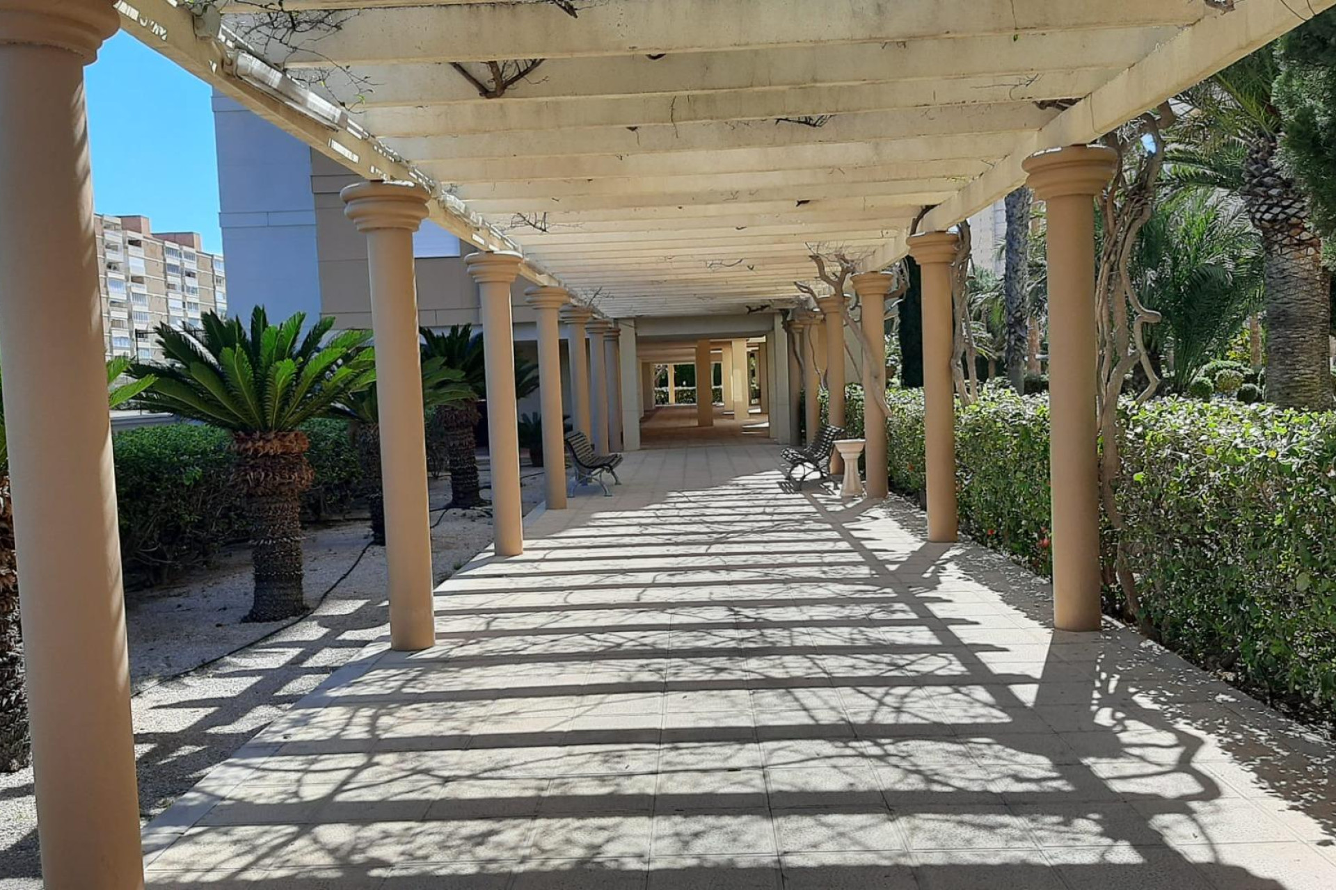 Reventa - Apartamento / piso - El Campello - Playa muchavista