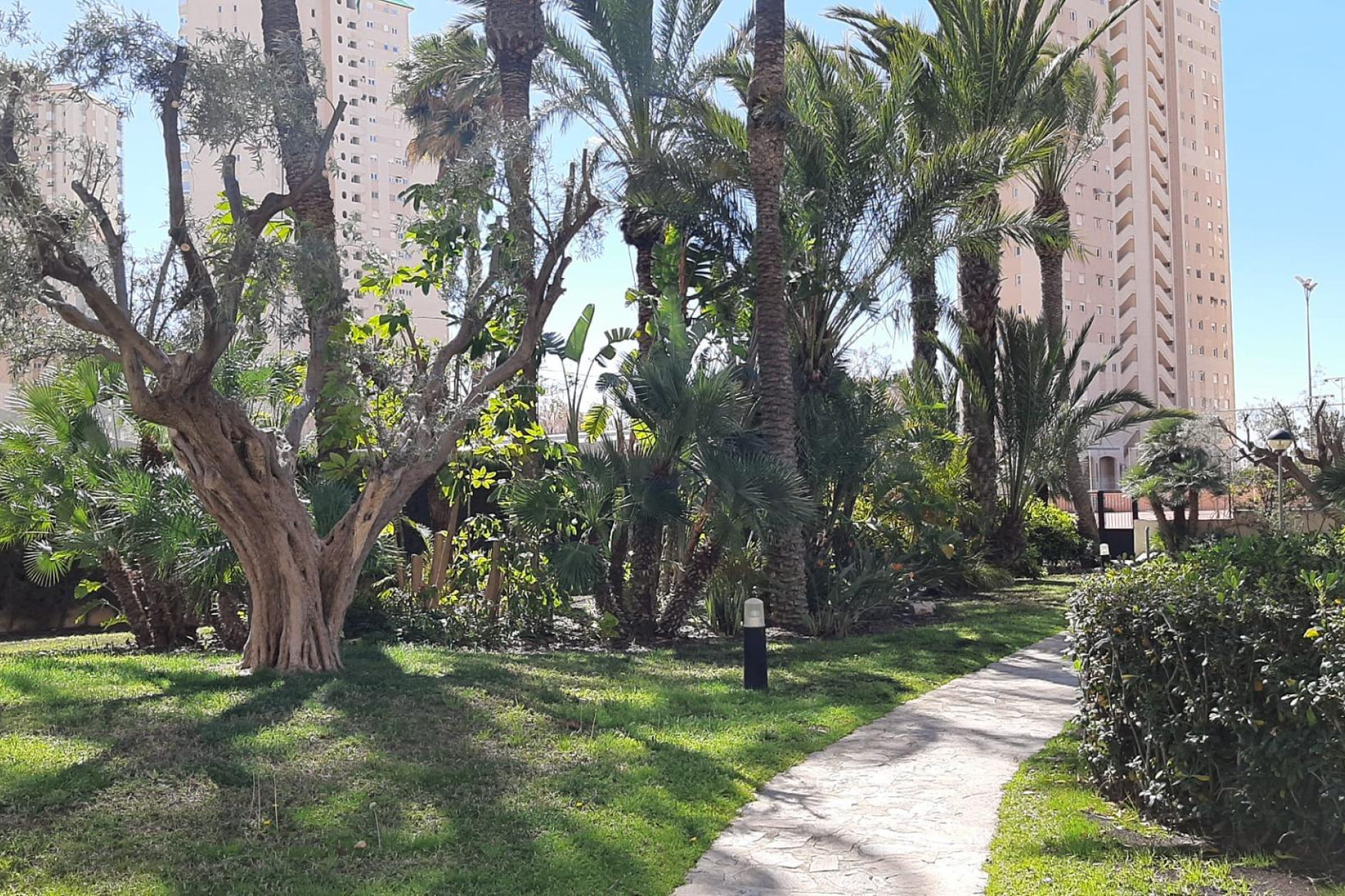 Reventa - Apartamento / piso - El Campello - Playa muchavista