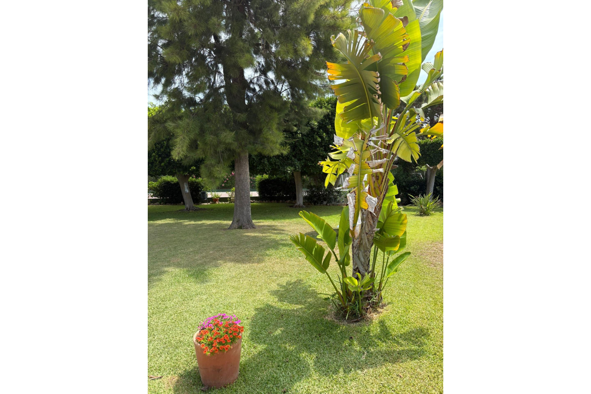 Reventa - Apartamento / piso - Guardamar del Segura - El moncayo