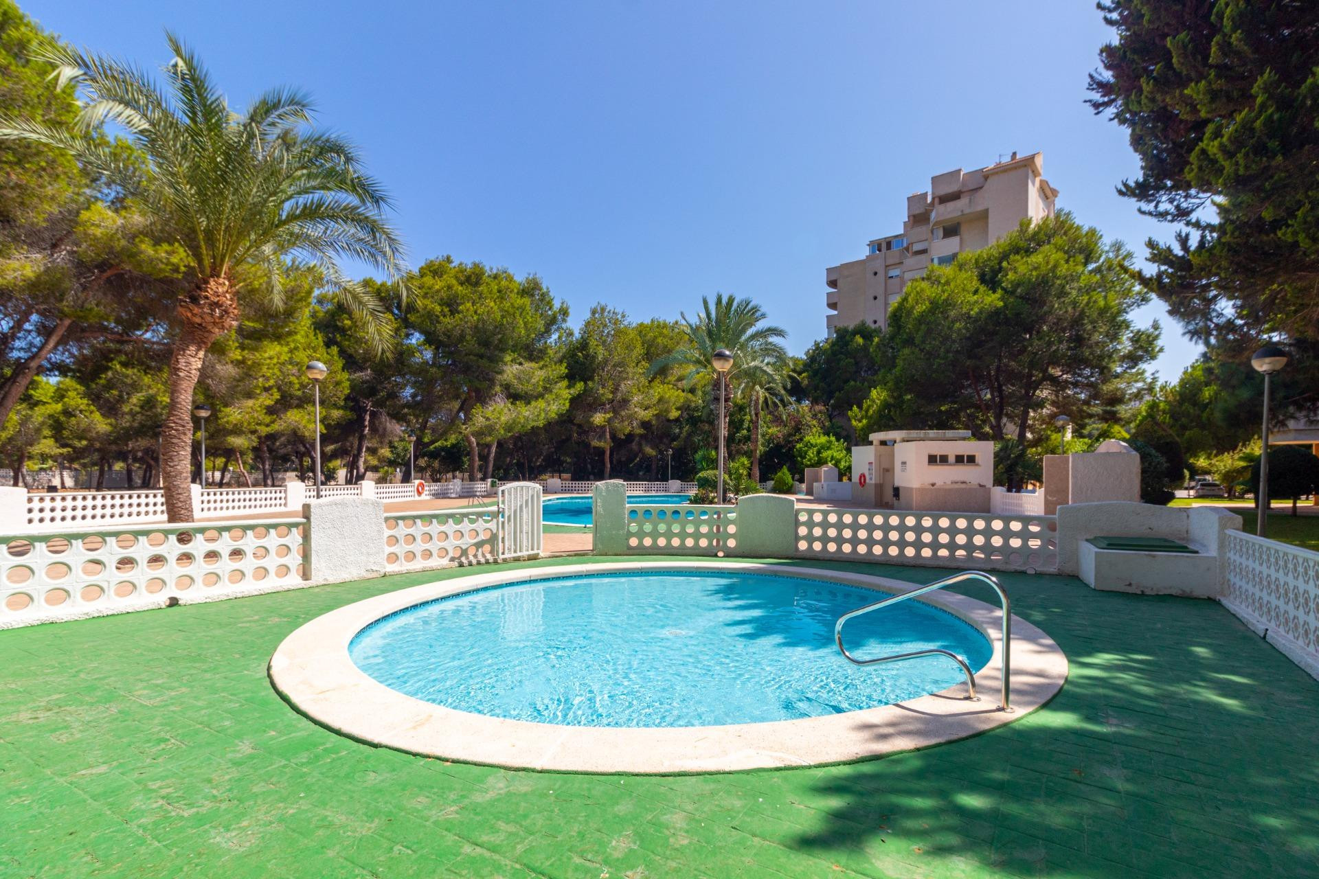 Reventa - Apartamento / piso - Orihuela Costa - Campoamor
