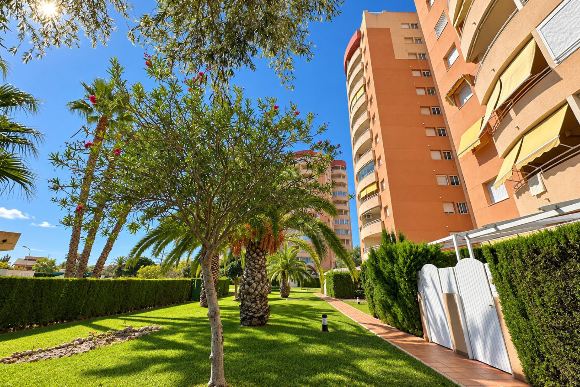 Reventa - Apartamento / piso - Orihuela Costa - Dehesa de Campoamor