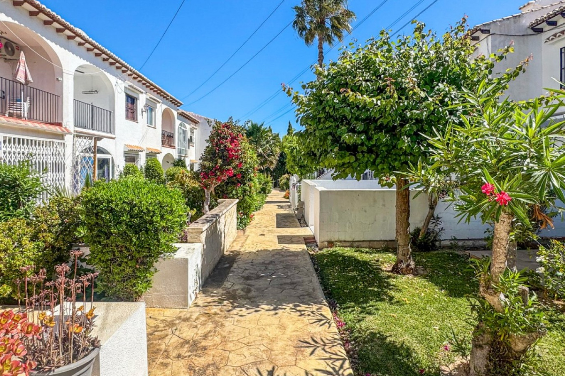 Reventa - Apartamento / piso - Orihuela Costa - Los Balcones