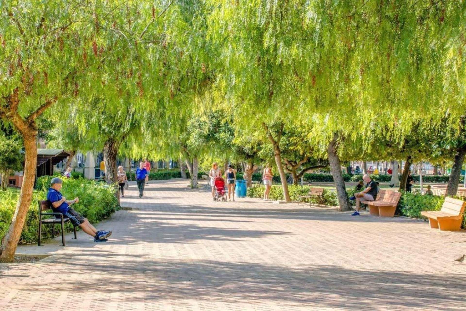 Reventa - Apartamento / piso - Torrevieja - Centro